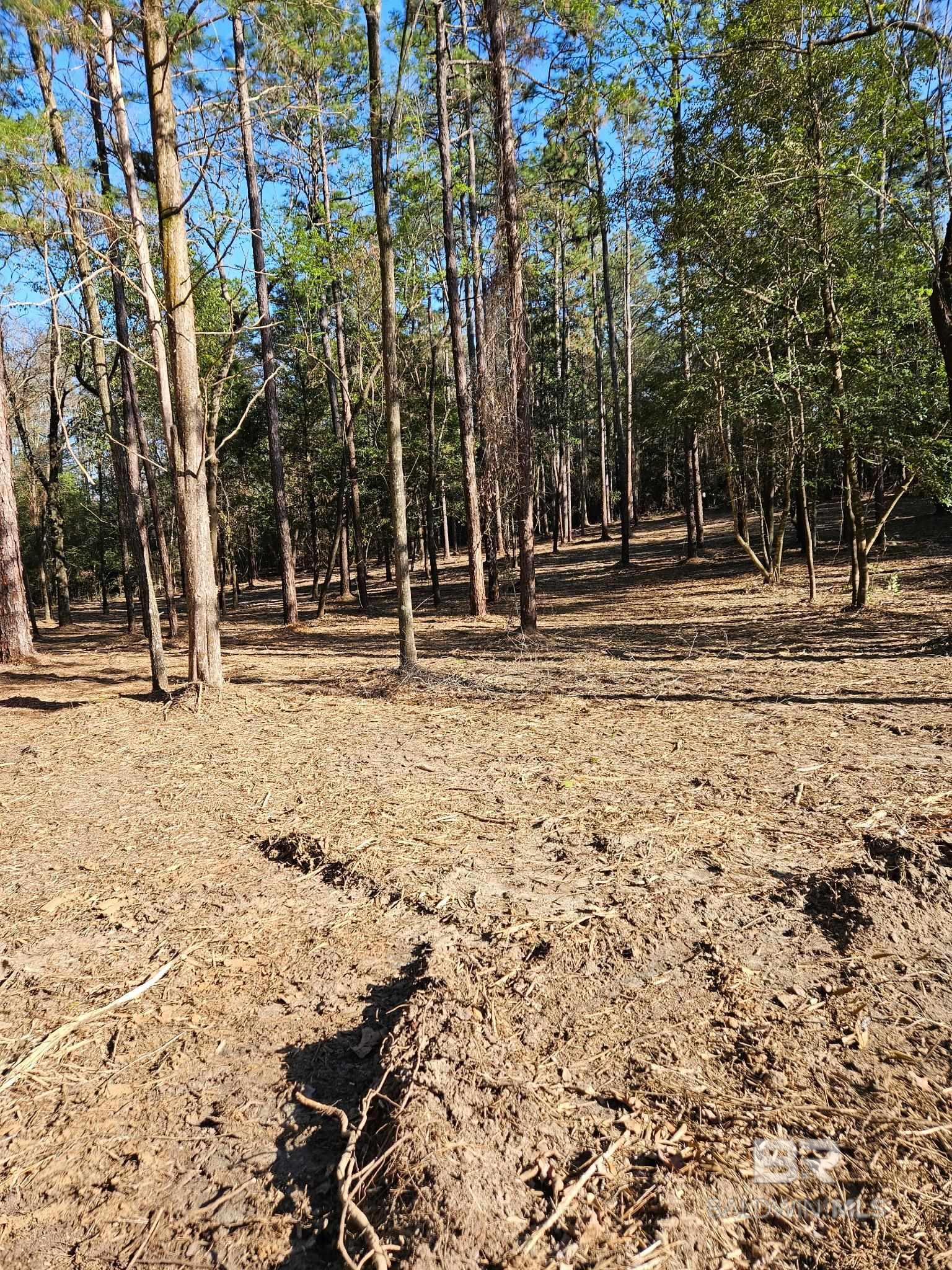 Homes for sale in Bay Minette, AL | 11040 County Road 138, Bay Minette, AL 36507 | MLS# 384828