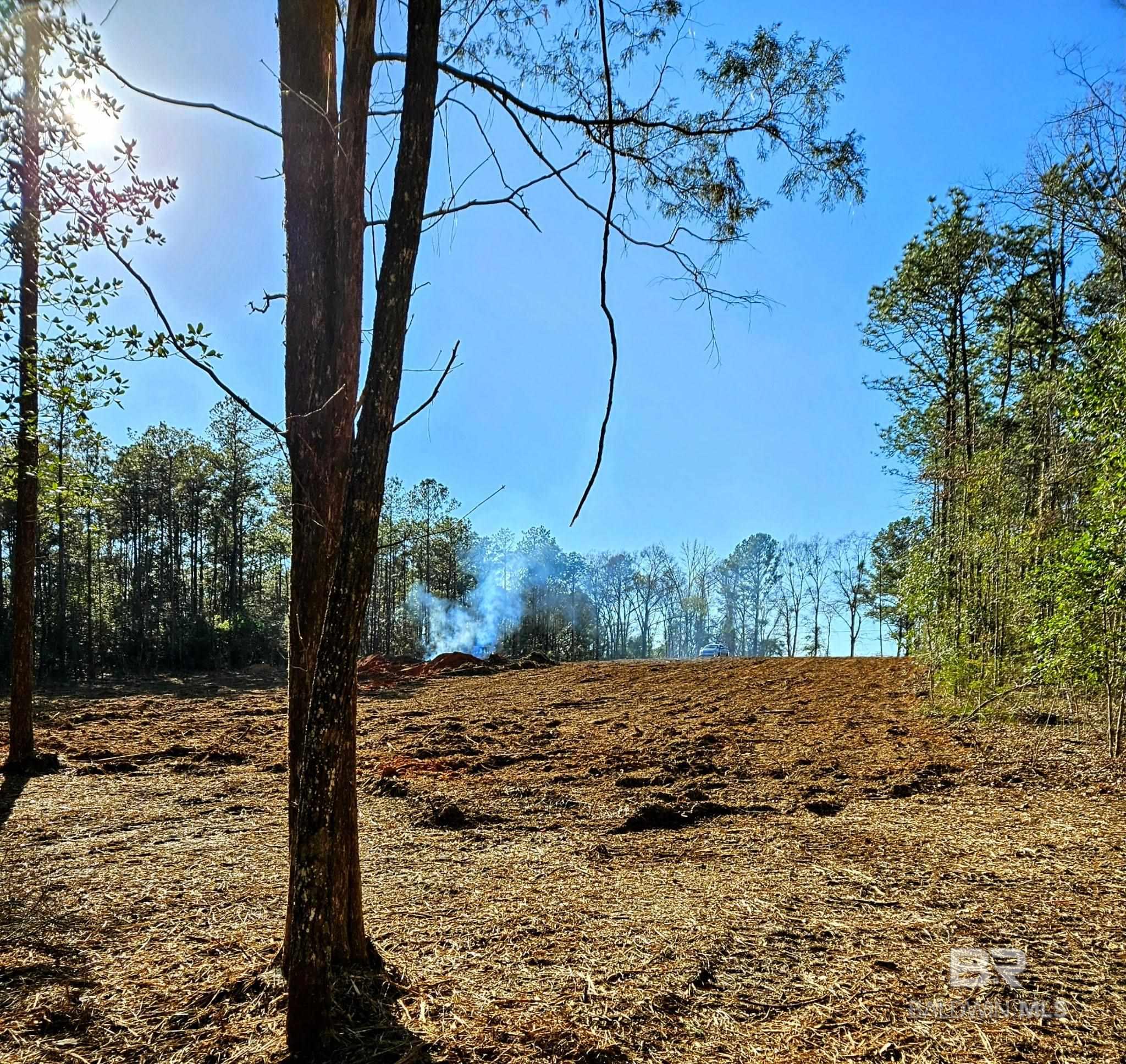 Homes for sale in Bay Minette, AL | 11040 County Road 138, Bay Minette, AL 36507 | MLS# 384828