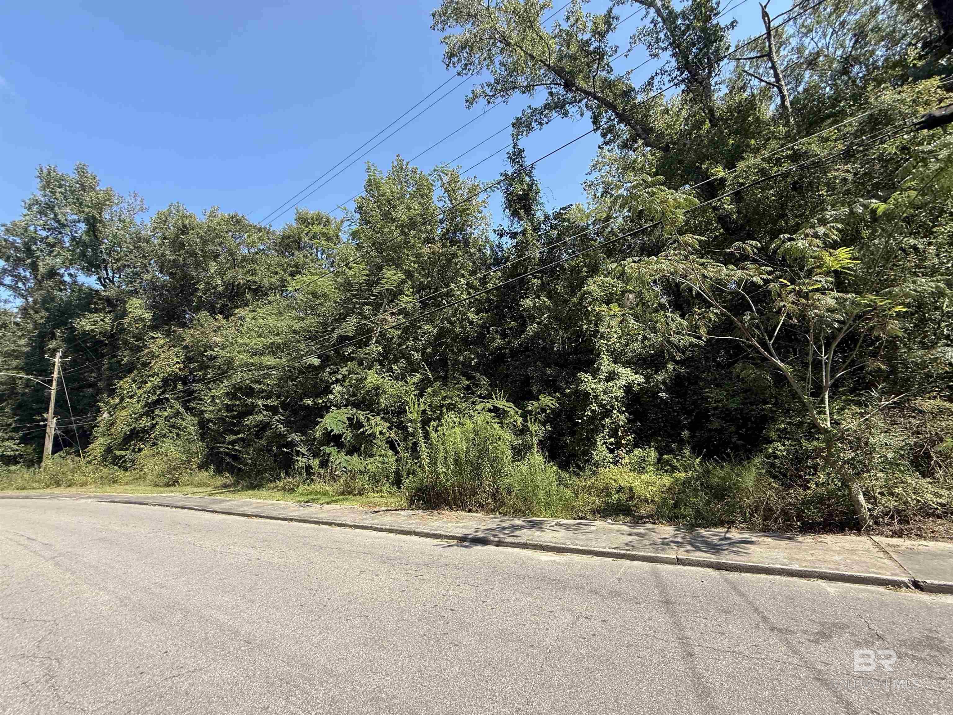 Listing Photo 385015