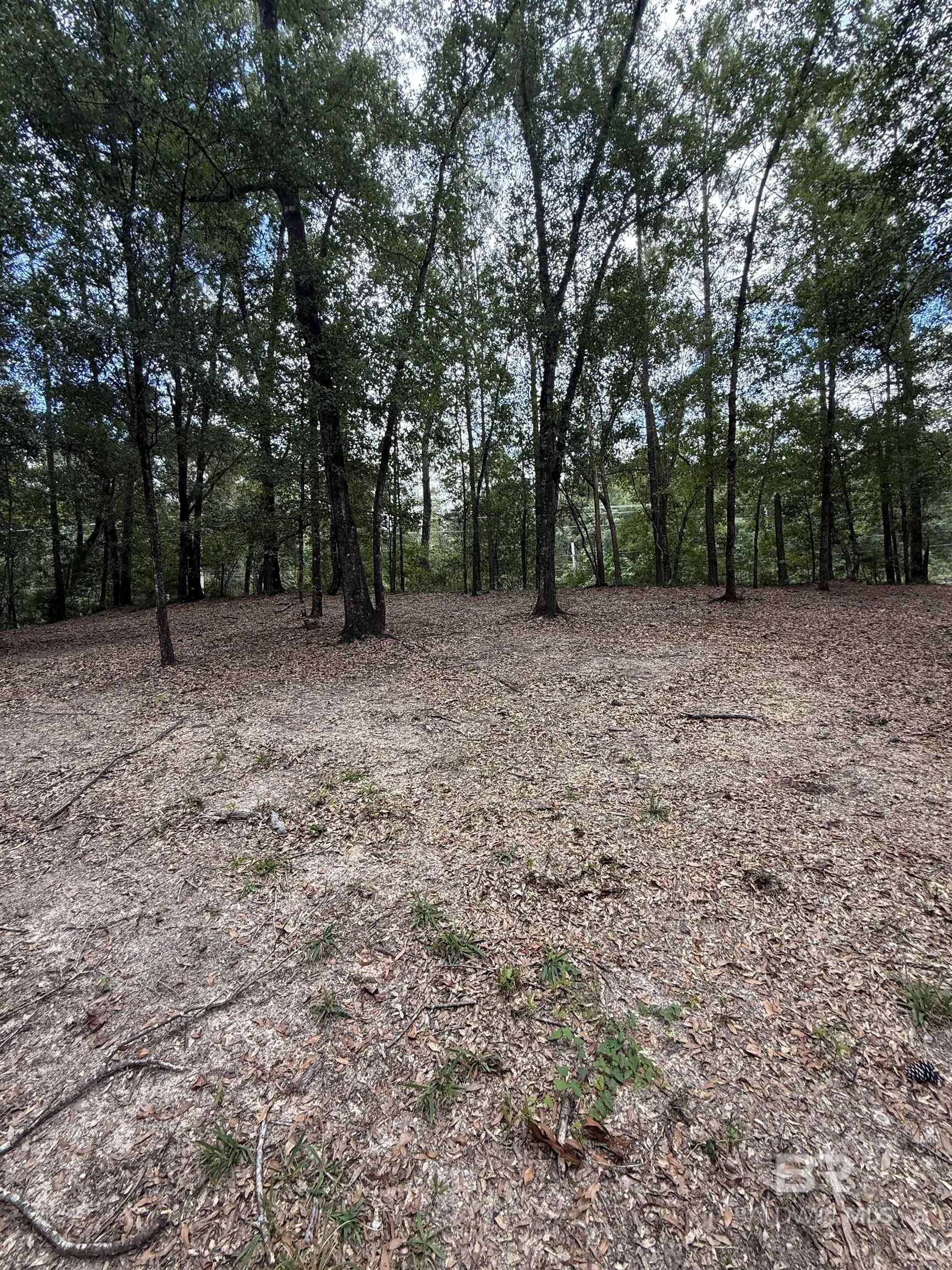 Homes for sale in Bay Minette, AL | 43807 State Hwy 225, Bay Minette, AL 36507 | MLS# 385027