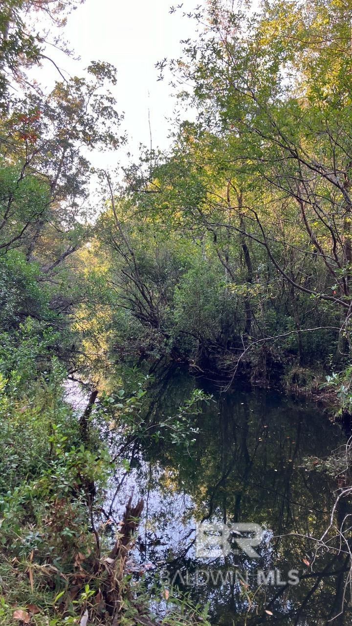 Homes for sale in Bay Minette, AL | 43807 State Hwy 225, Bay Minette, AL 36507 | MLS# 385027