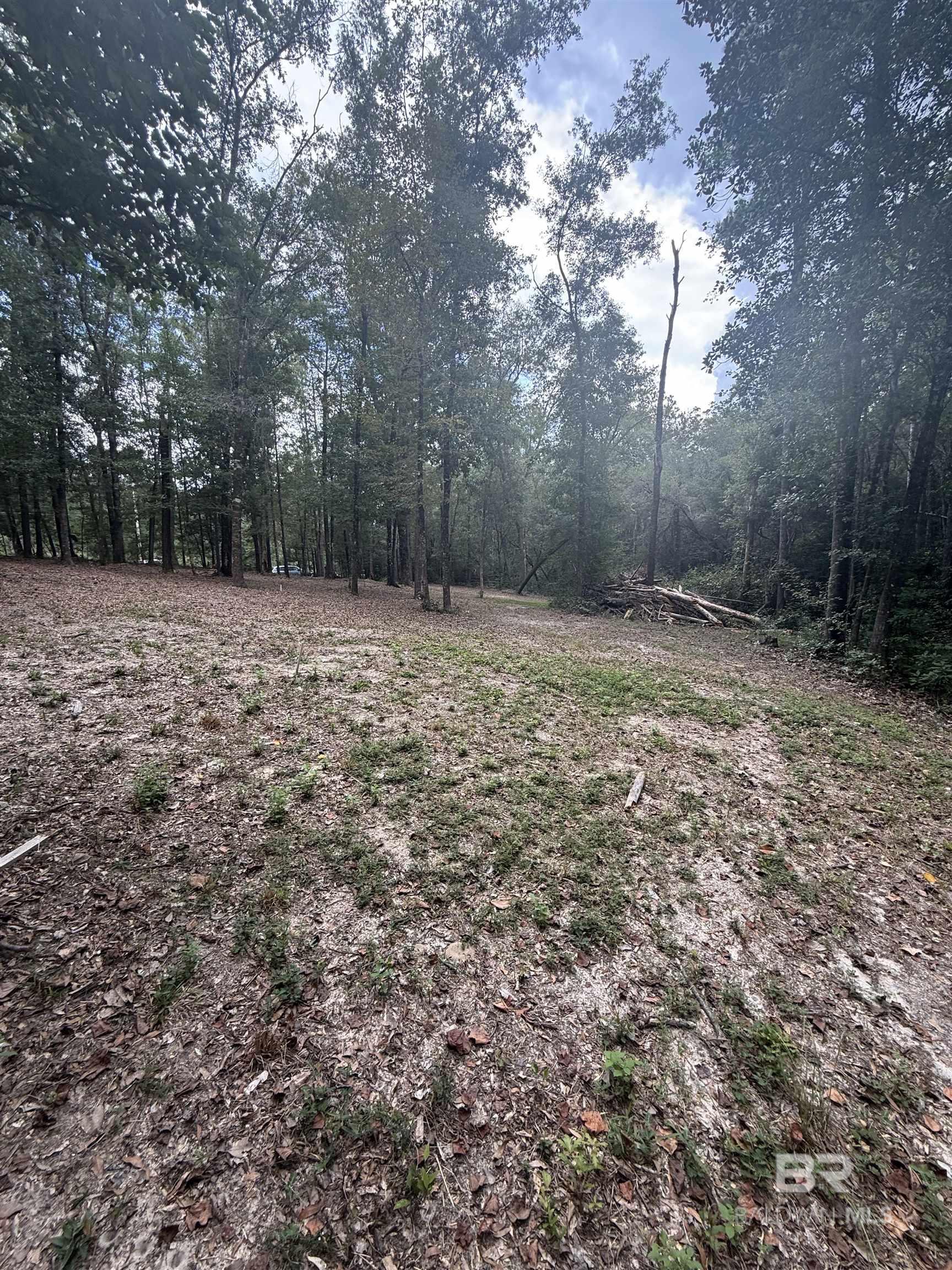 Homes for sale in Bay Minette, AL | 43807 State Hwy 225, Bay Minette, AL 36507 | MLS# 385027