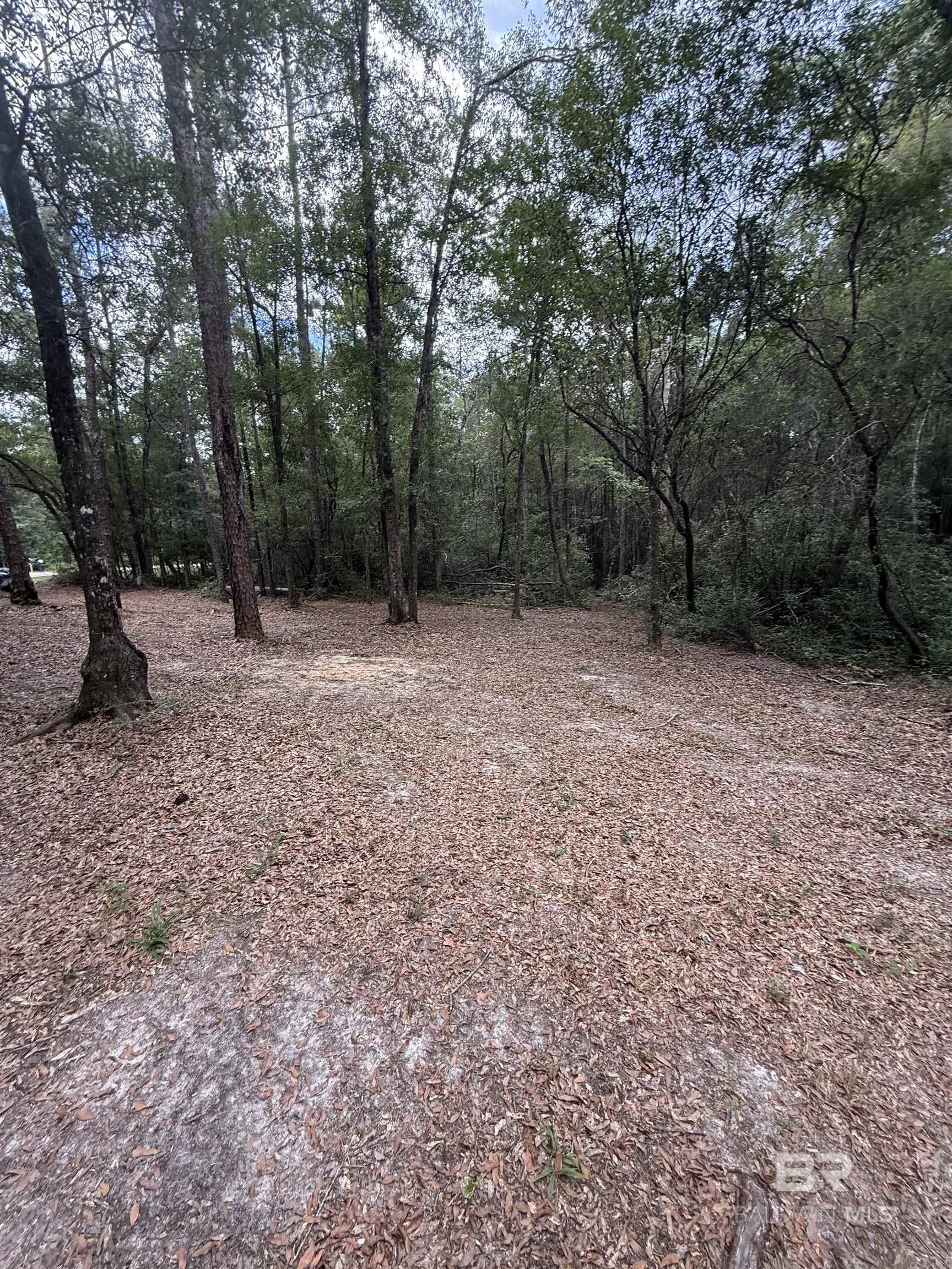 Homes for sale in Bay Minette, AL | 43807 State Hwy 225, Bay Minette, AL 36507 | MLS# 385027