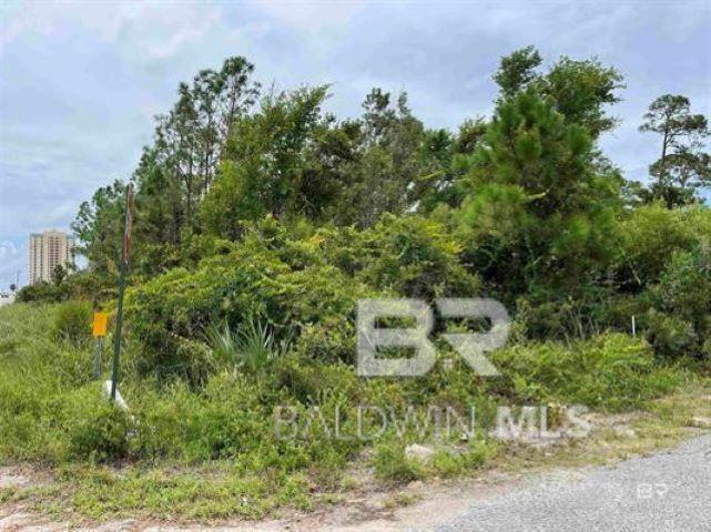 13500 Perdido Key Drive