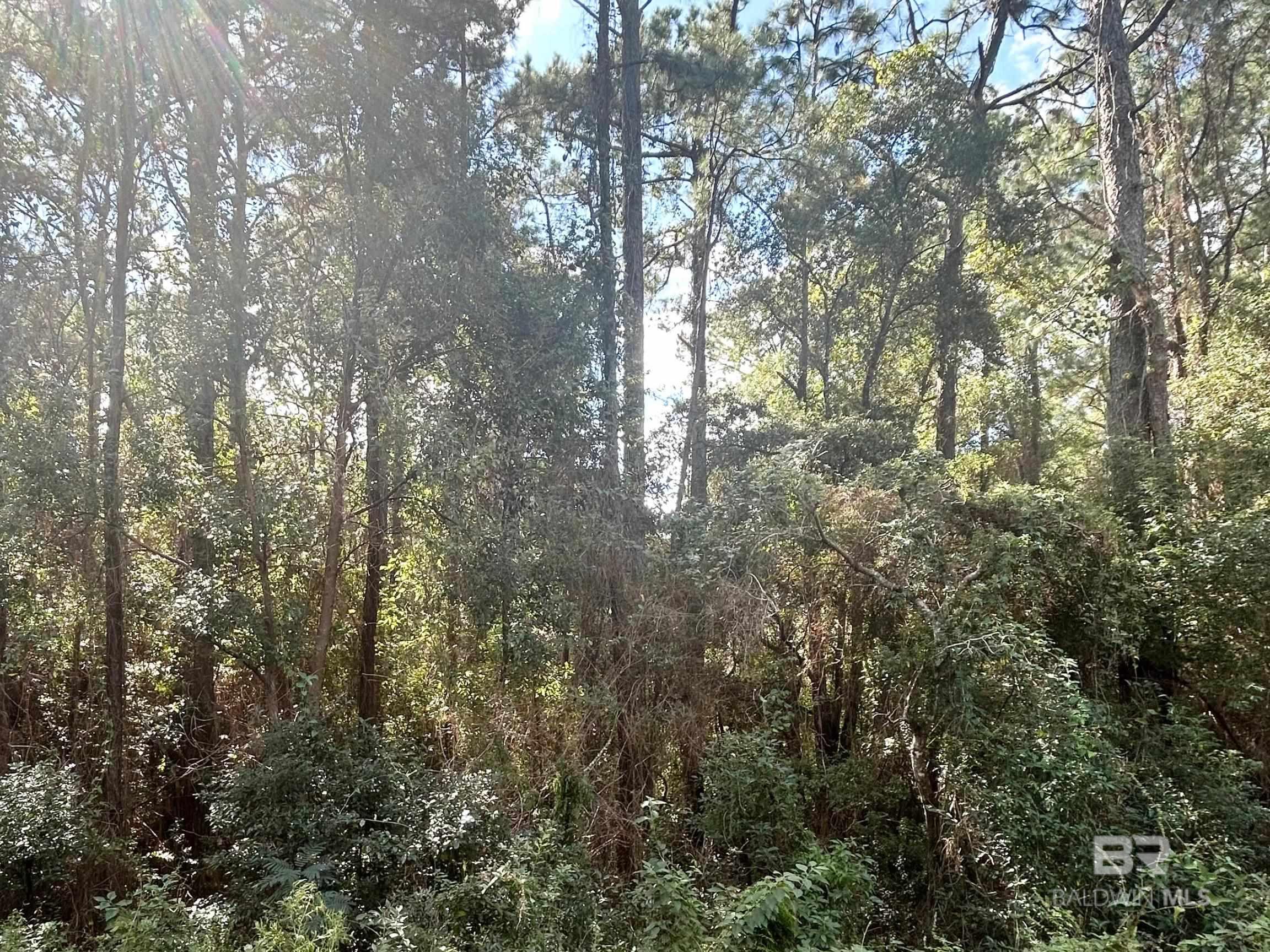 Homes for sale in Daphne, AL | 140 Buena Vista Dr, Daphne, AL 36526 | MLS# 386420