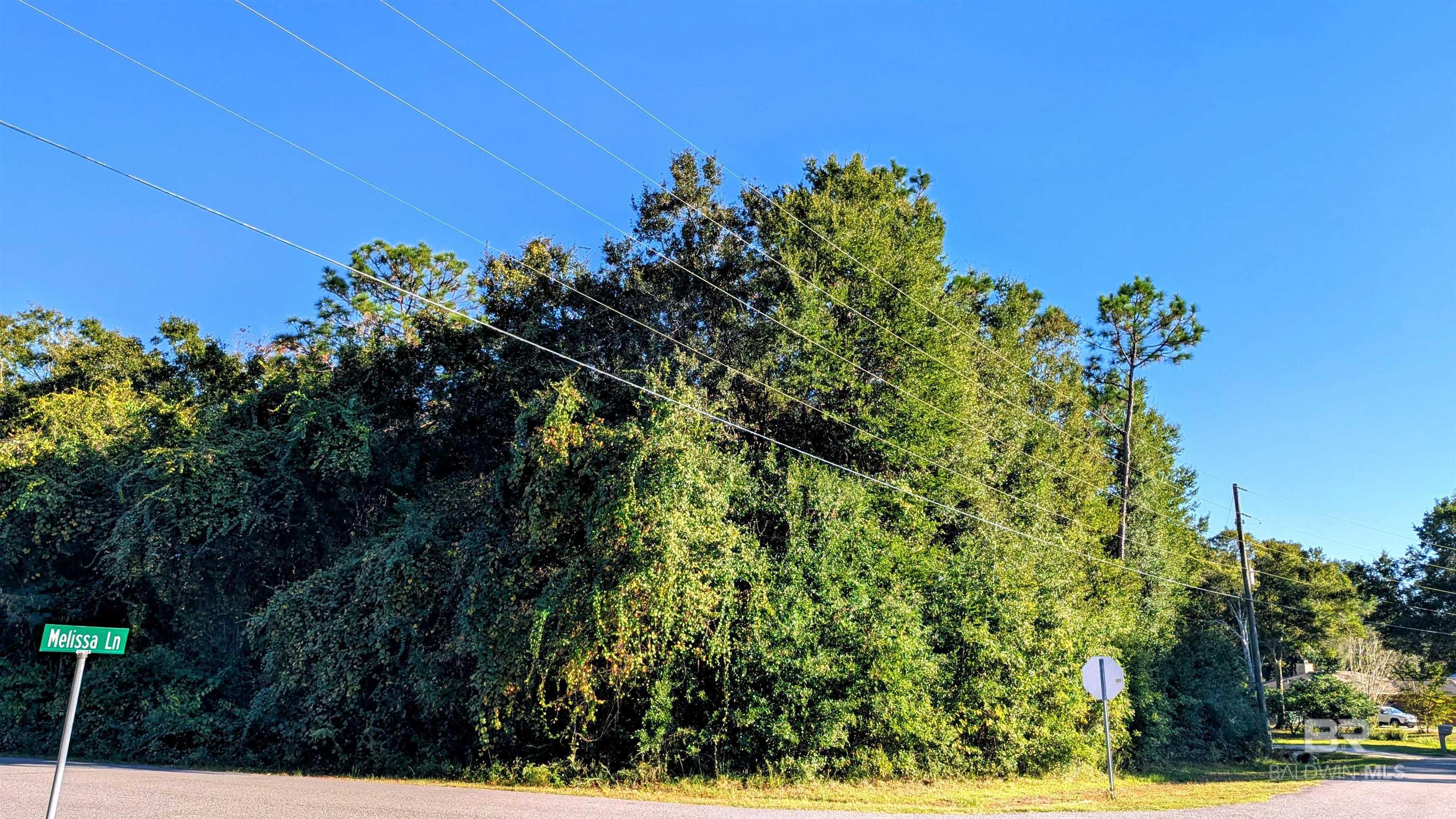 Homes for sale in Lillian, AL | 0 Pickens Avenue, Lillian, AL 36549 | MLS# 386744