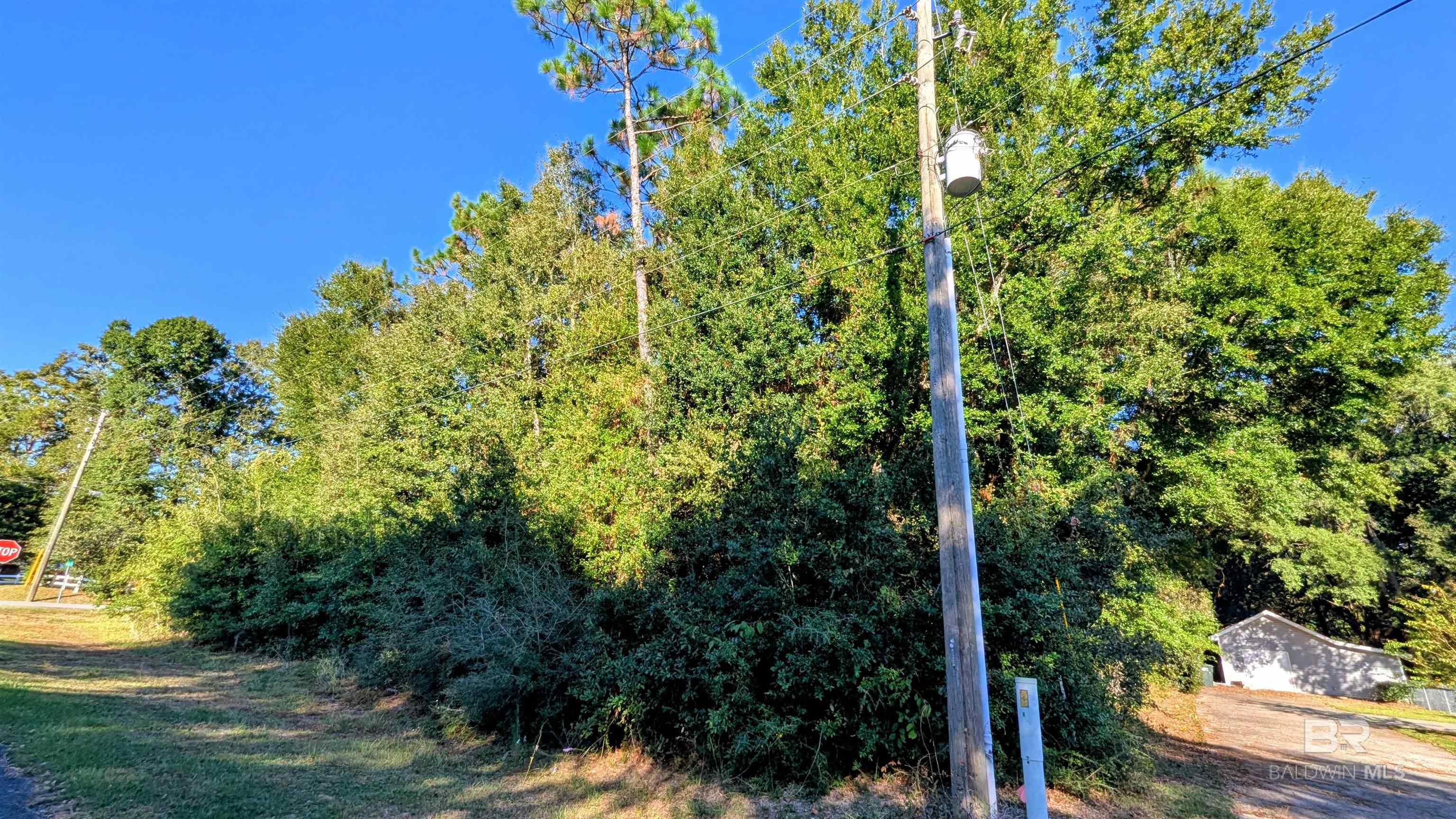 Homes for sale in Lillian, AL | 0 Pickens Avenue, Lillian, AL 36549 | MLS# 386744