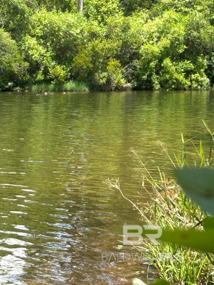 Homes for sale in Brewton, AL | 0 Lake Juniper Road, Brewton, AL 36426 | MLS# 386806