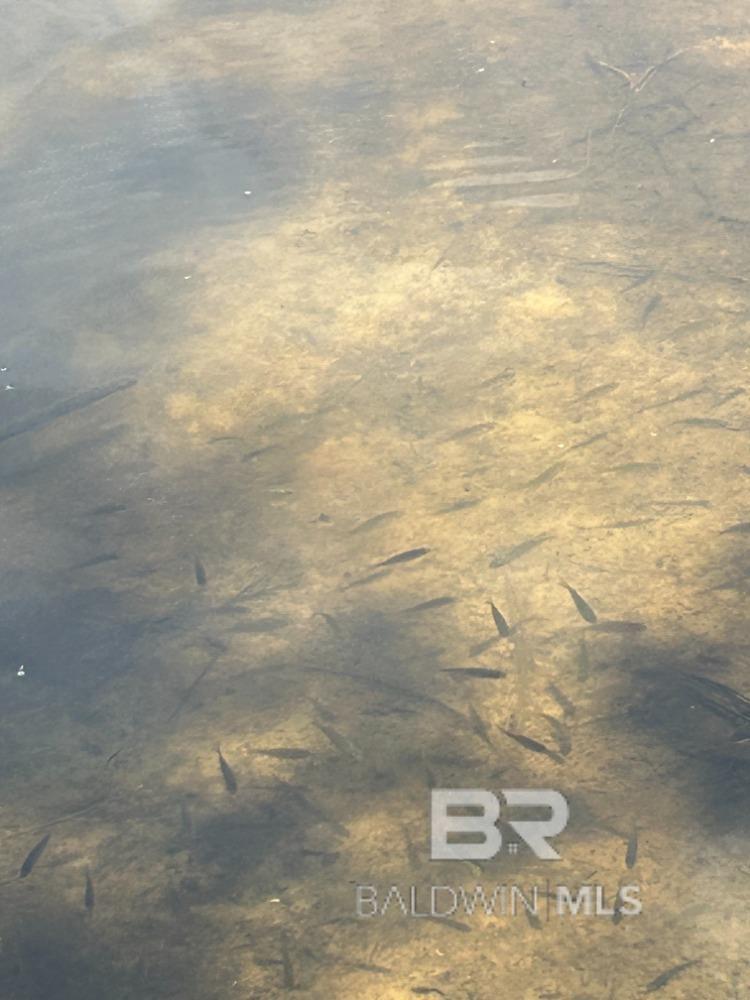 Homes for sale in Brewton, AL | 0 Lake Juniper Road, Brewton, AL 36426 | MLS# 386806