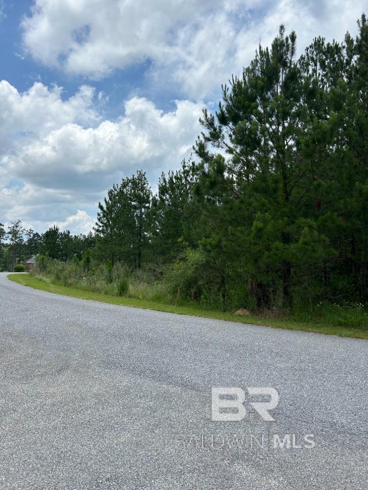 Homes for sale in Brewton, AL | 0 Lake Juniper Road, Brewton, AL 36426 | MLS# 386806