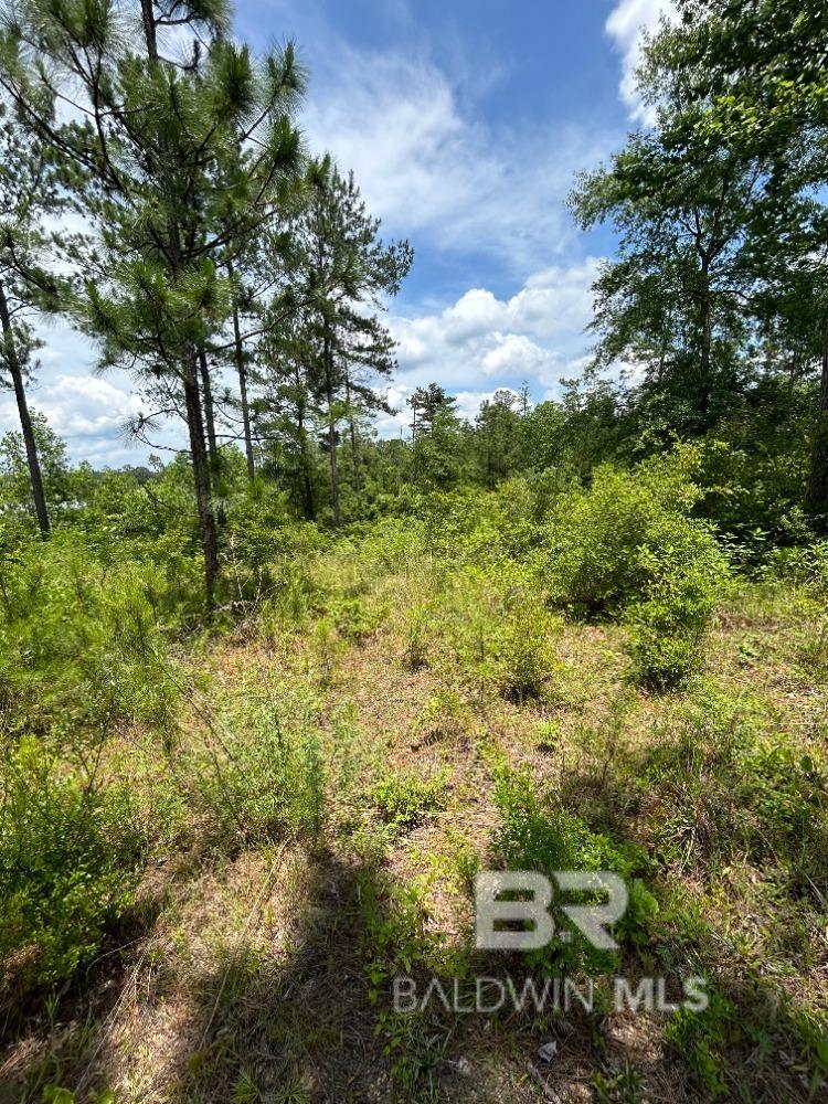 Homes for sale in Brewton, AL | 0 Lake Juniper Road, Brewton, AL 36426 | MLS# 386806