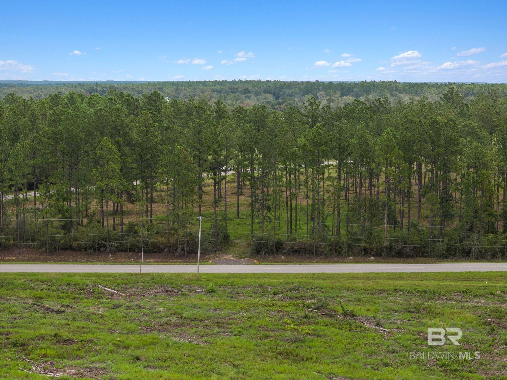 Homes for sale in Bay Minette, AL | 43944 County Road 112, Bay Minette, AL 36507 | MLS# 386865