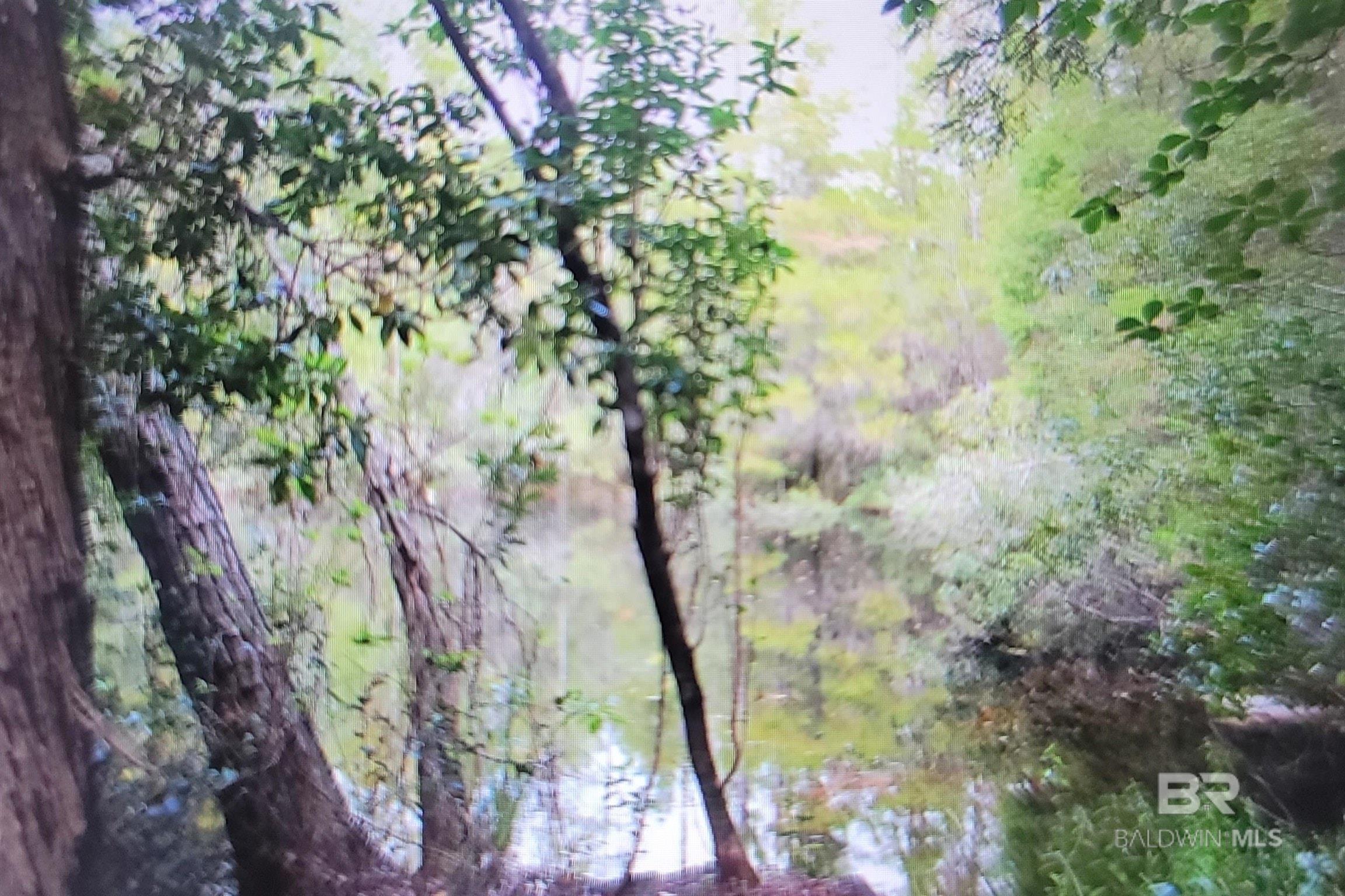 Homes for sale in Seminole, AL | 0 Juniper Road, Seminole, AL 36574 | MLS# 386867