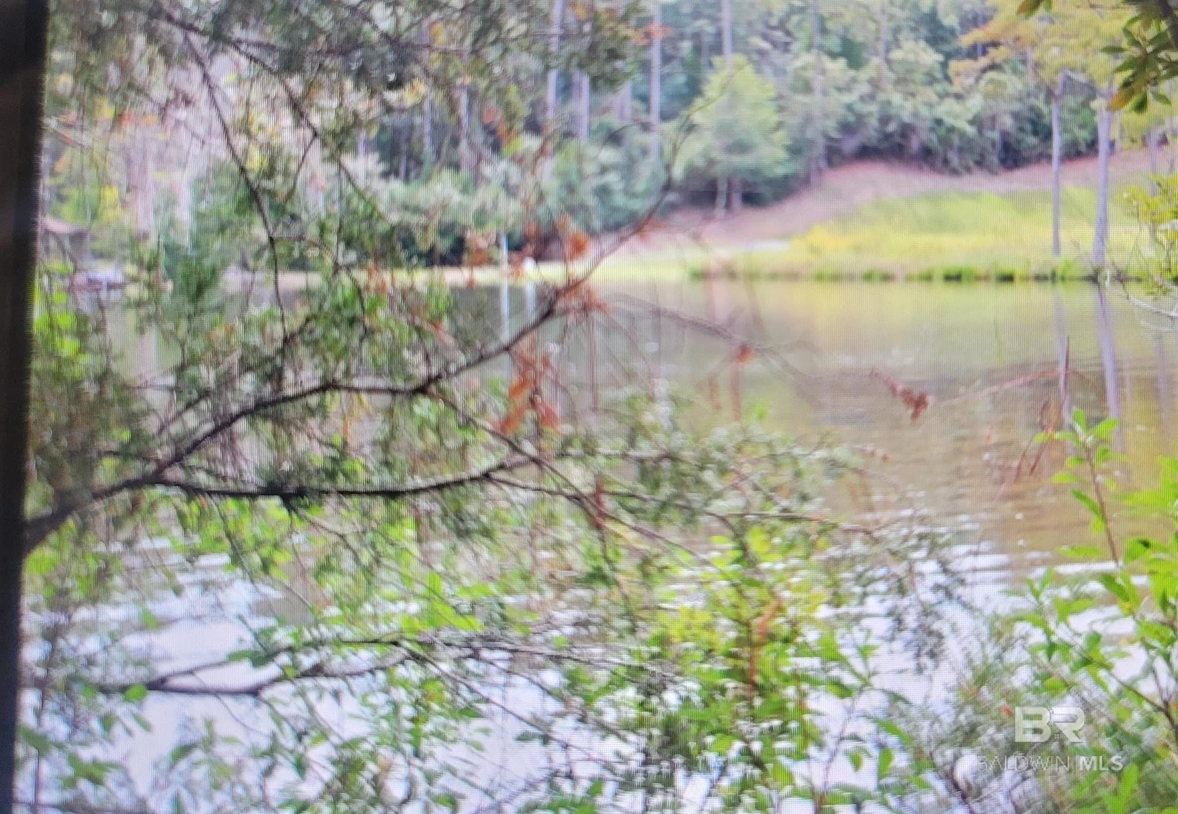 Homes for sale in Seminole, AL | 0 Juniper Road, Seminole, AL 36574 | MLS# 386867