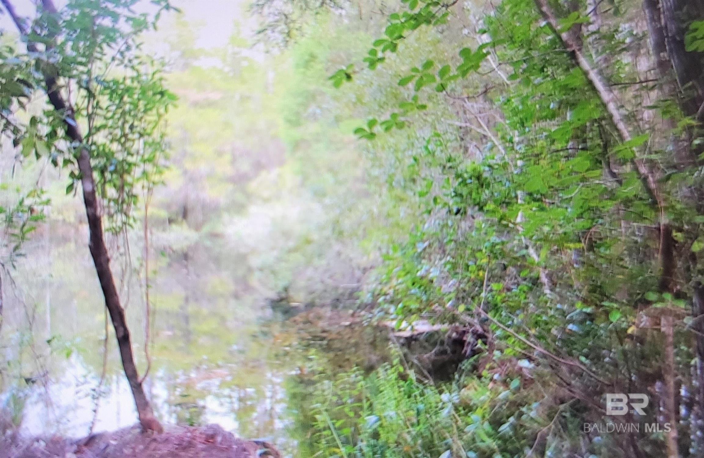 Homes for sale in Seminole, AL | 0 Juniper Road, Seminole, AL 36574 | MLS# 386867