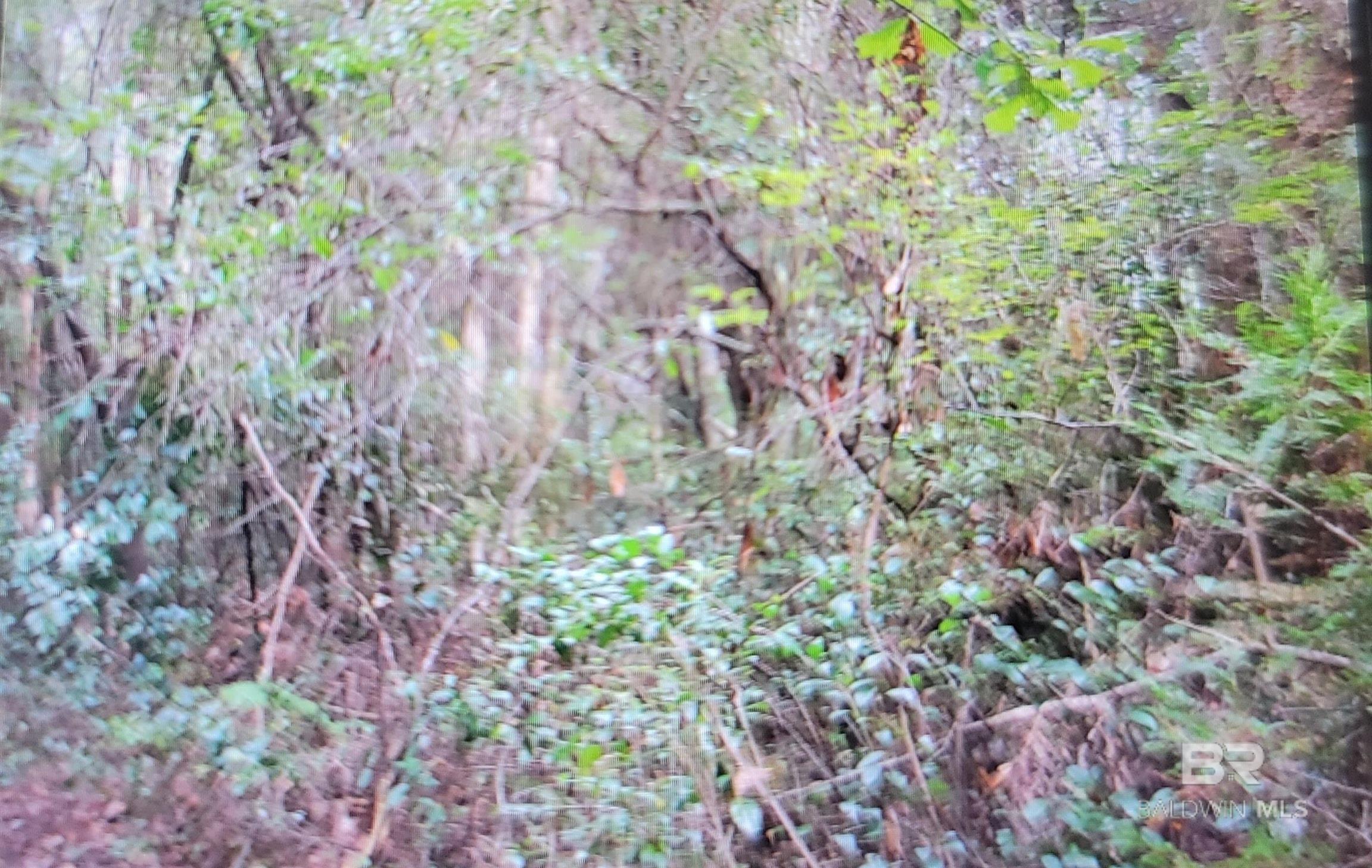 Homes for sale in Seminole, AL | 0 Juniper Road, Seminole, AL 36574 | MLS# 386867