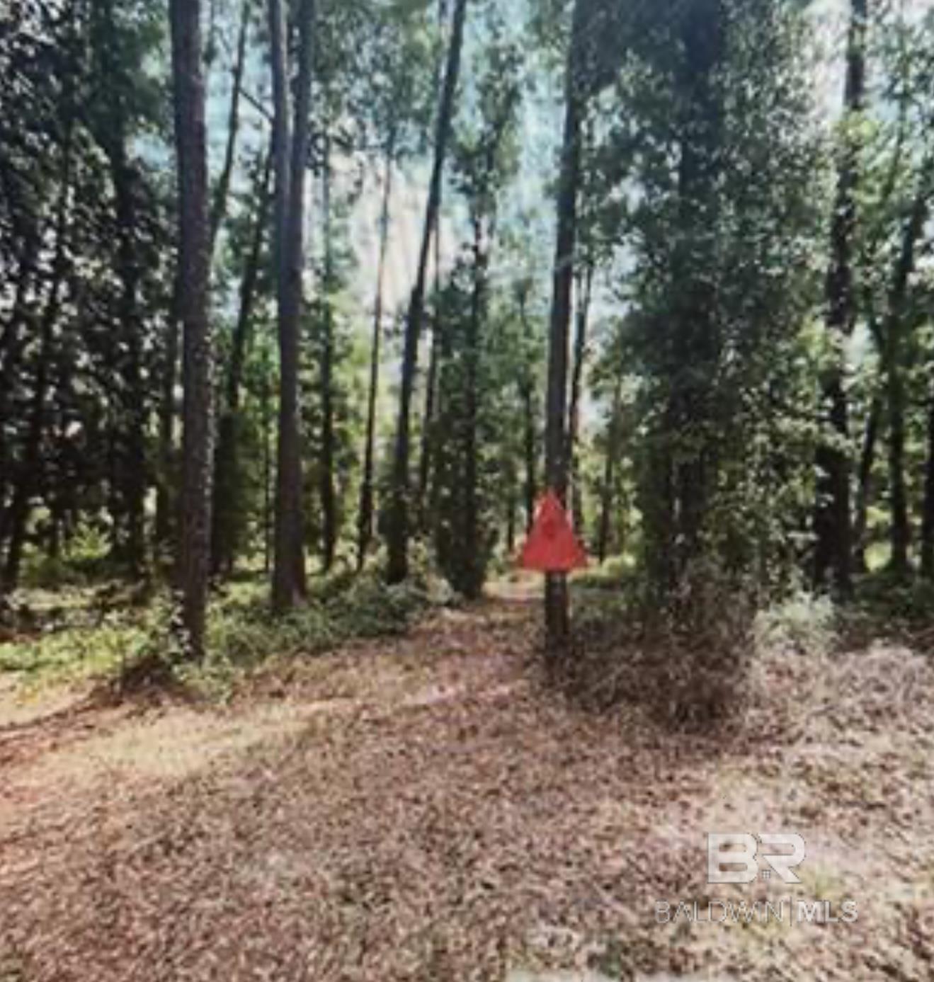 Homes for sale in Silverhill, AL | 0 W Woodhaven Dairy Road, Silverhill, AL 36576 | MLS# 386896