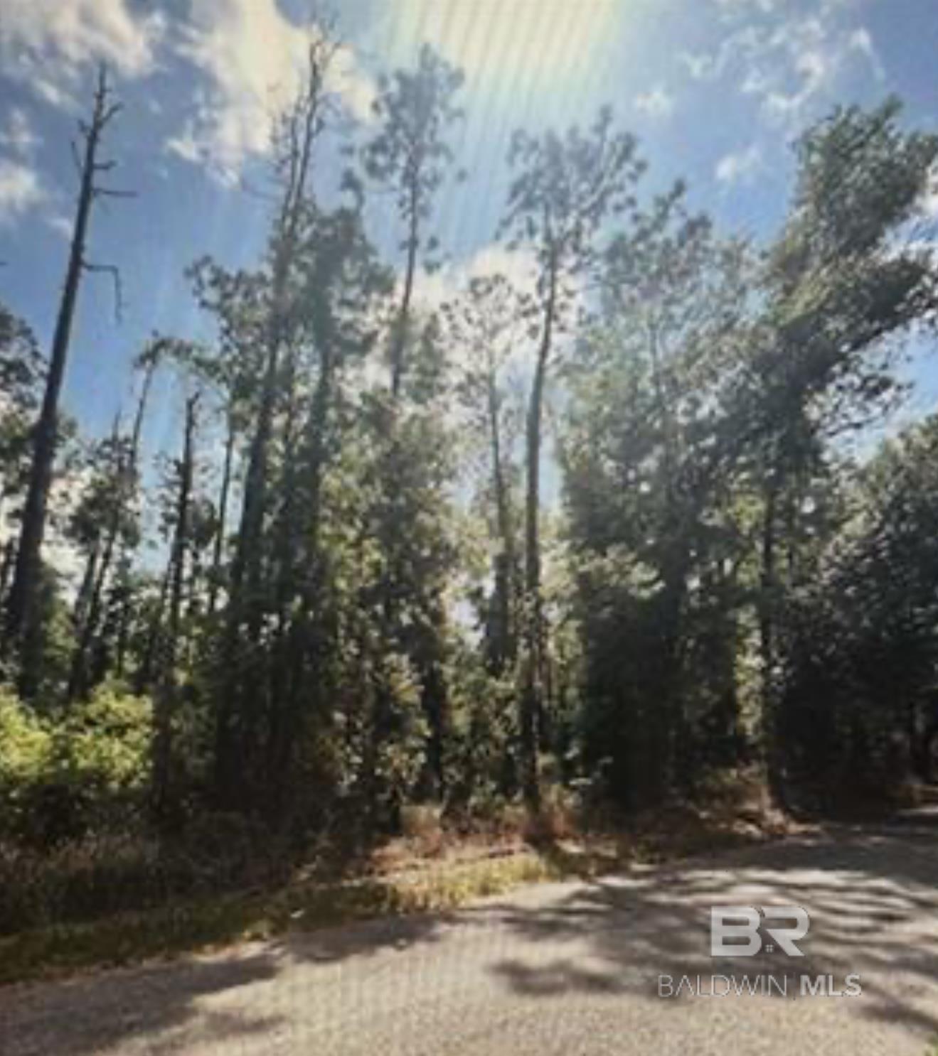 Homes for sale in Silverhill, AL | 0 W Woodhaven Dairy Road, Silverhill, AL 36576 | MLS# 386896