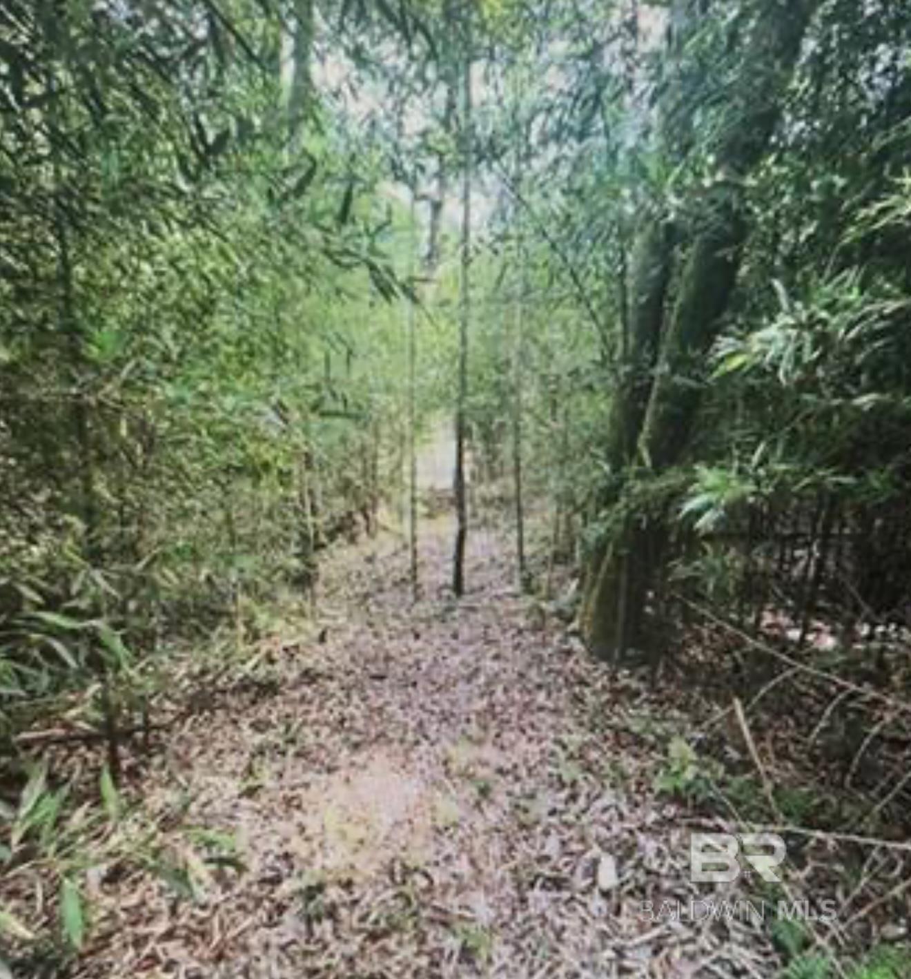 Homes for sale in Silverhill, AL | 0 W Woodhaven Dairy Road, Silverhill, AL 36576 | MLS# 386896