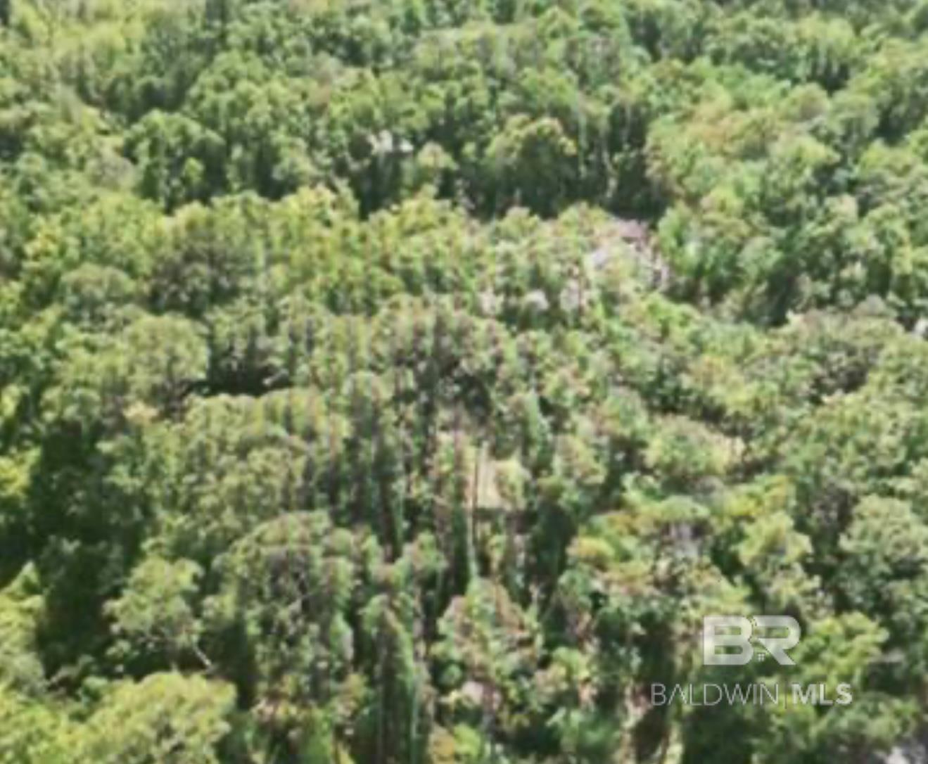 Homes for sale in Silverhill, AL | 0 W Woodhaven Dairy Road, Silverhill, AL 36576 | MLS# 386896