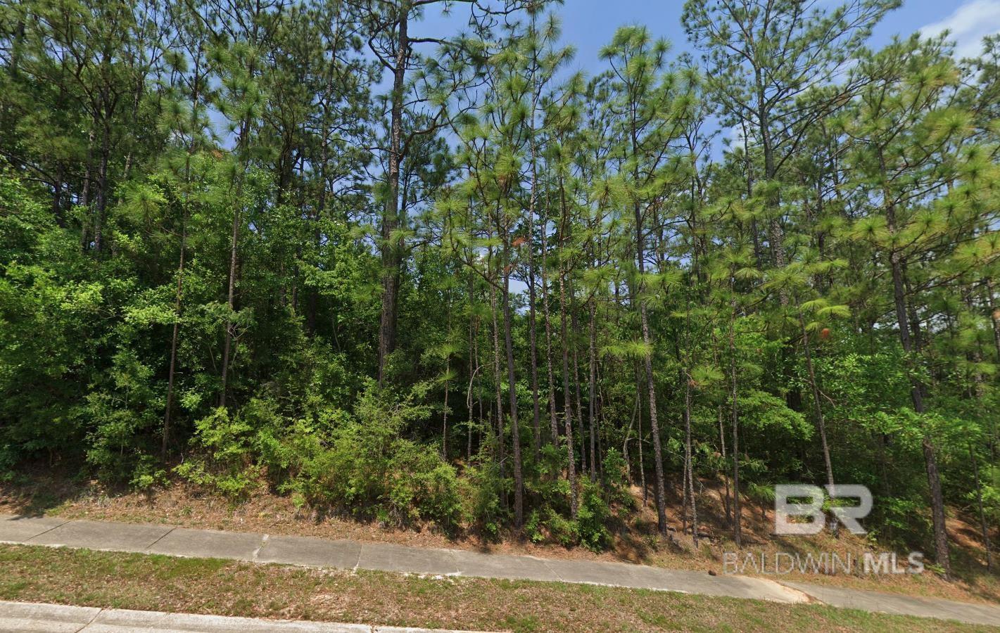 Homes for sale in Spanish Fort, AL | 0 S Tara Boulevard, Spanish Fort, AL 36527 | MLS# 386907