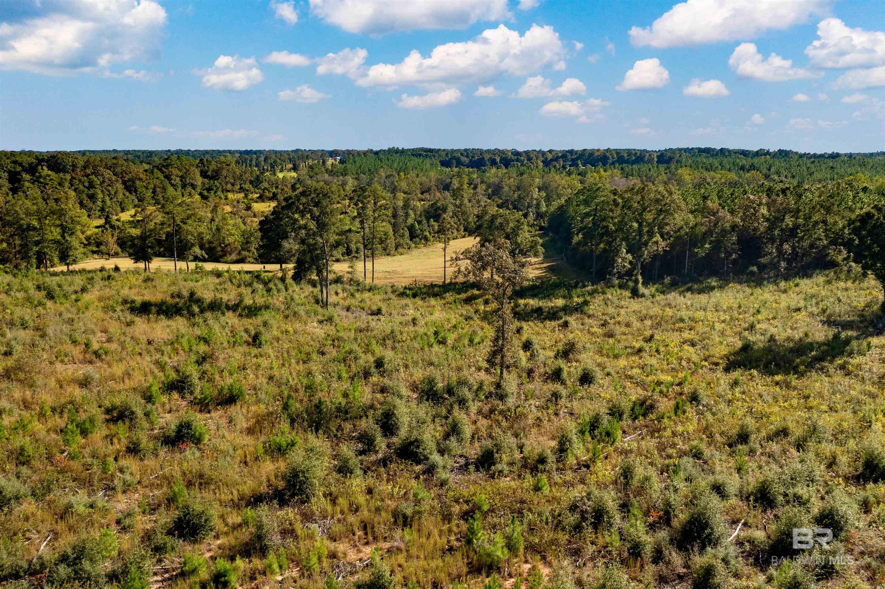 Homes for sale in Chunchula, AL | 0 Private Road 115, Chunchula, AL 32524 | MLS# 387166