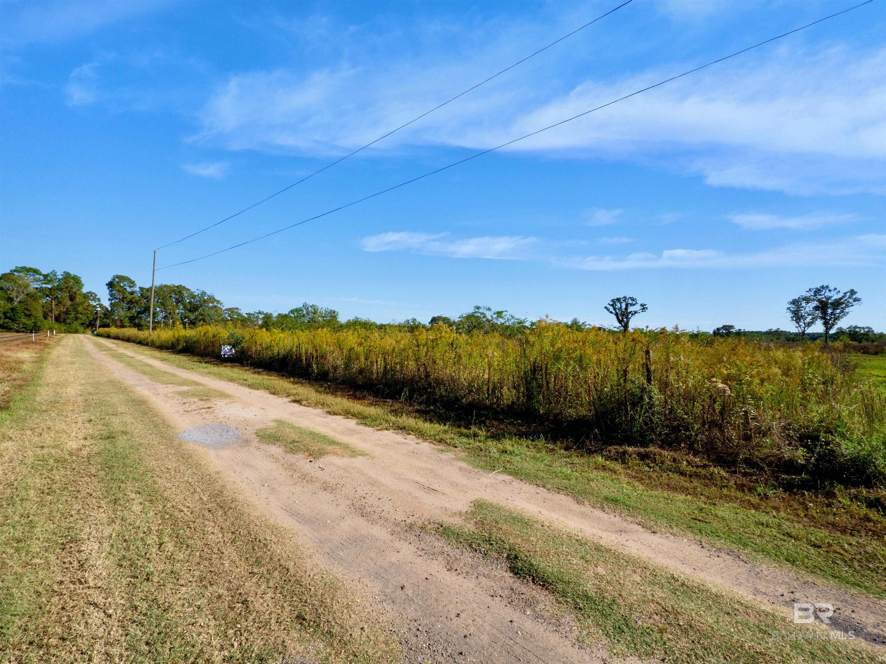 Homes for sale in Chunchula, AL | 0 Private Road 115, Chunchula, AL 32524 | MLS# 387166