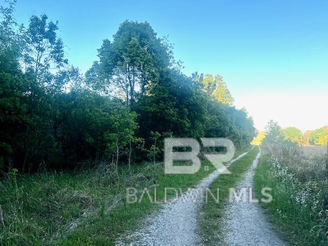 Homes for sale in Theodore, AL | 0 Bellingrath Road, Theodore, AL 36582 | MLS# 387564