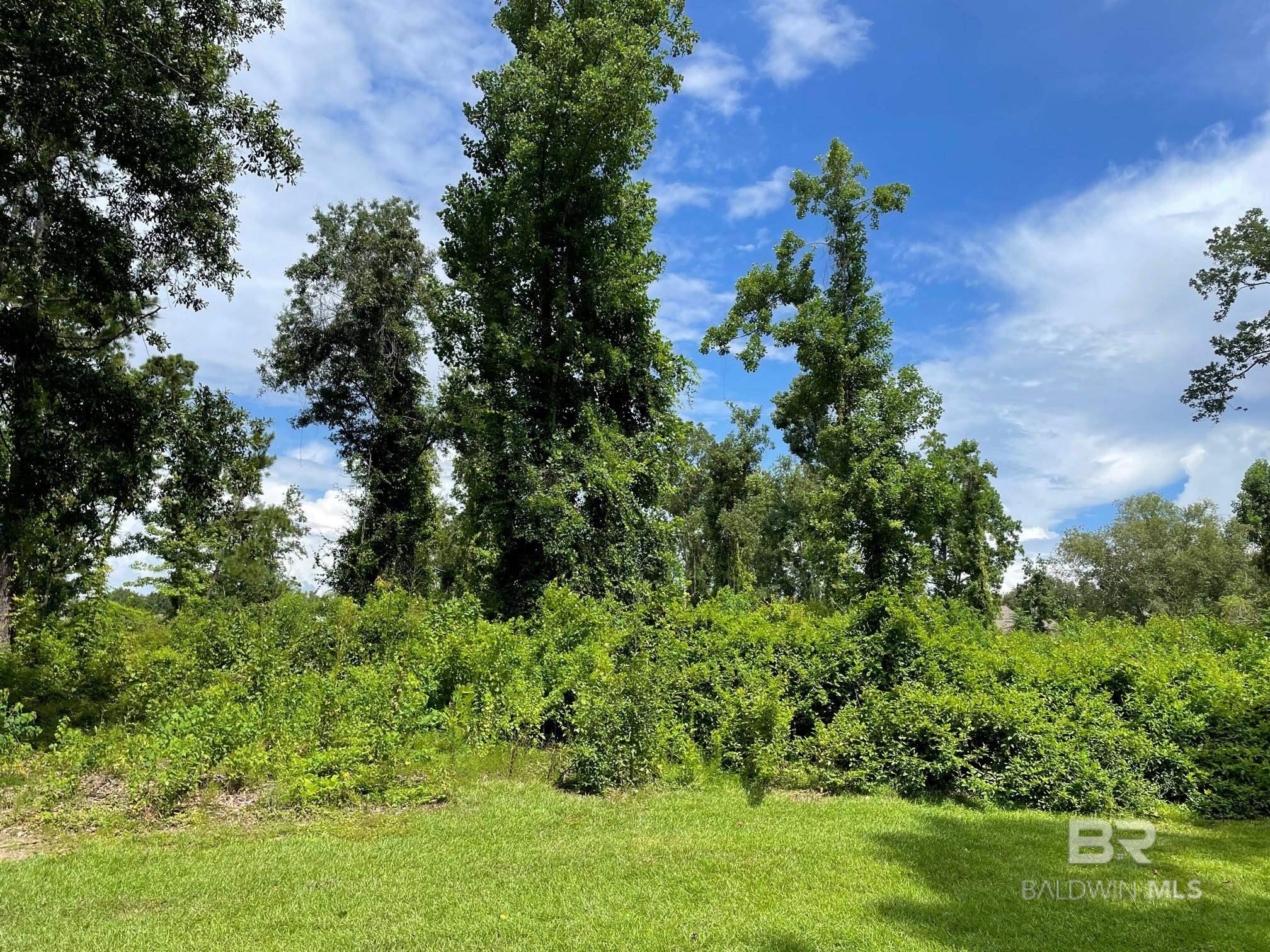 Now is your chance to own a beautiful, large, undeveloped lot in the elegant Polo Ridge neighborhood! You'll enjoy the stately, mature trees and tranquility this property has to offer - and just minutes from downtown Fairhope! Call to schedule your private showing today!
