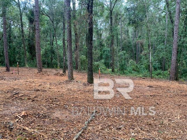 Ready for your new Home! Two surveyed and staked lots in Plantation Pines.  Survey & other documents on file. Leave the tress you want for a beautiful natural umbrella. Quiet street with easy access to downtown shopping, restaurants, and entertainment.