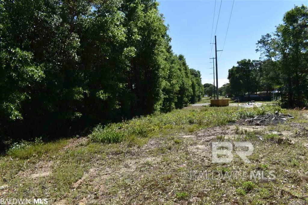 317State Highway 180156  Gulf Shores, AL |  Photo
