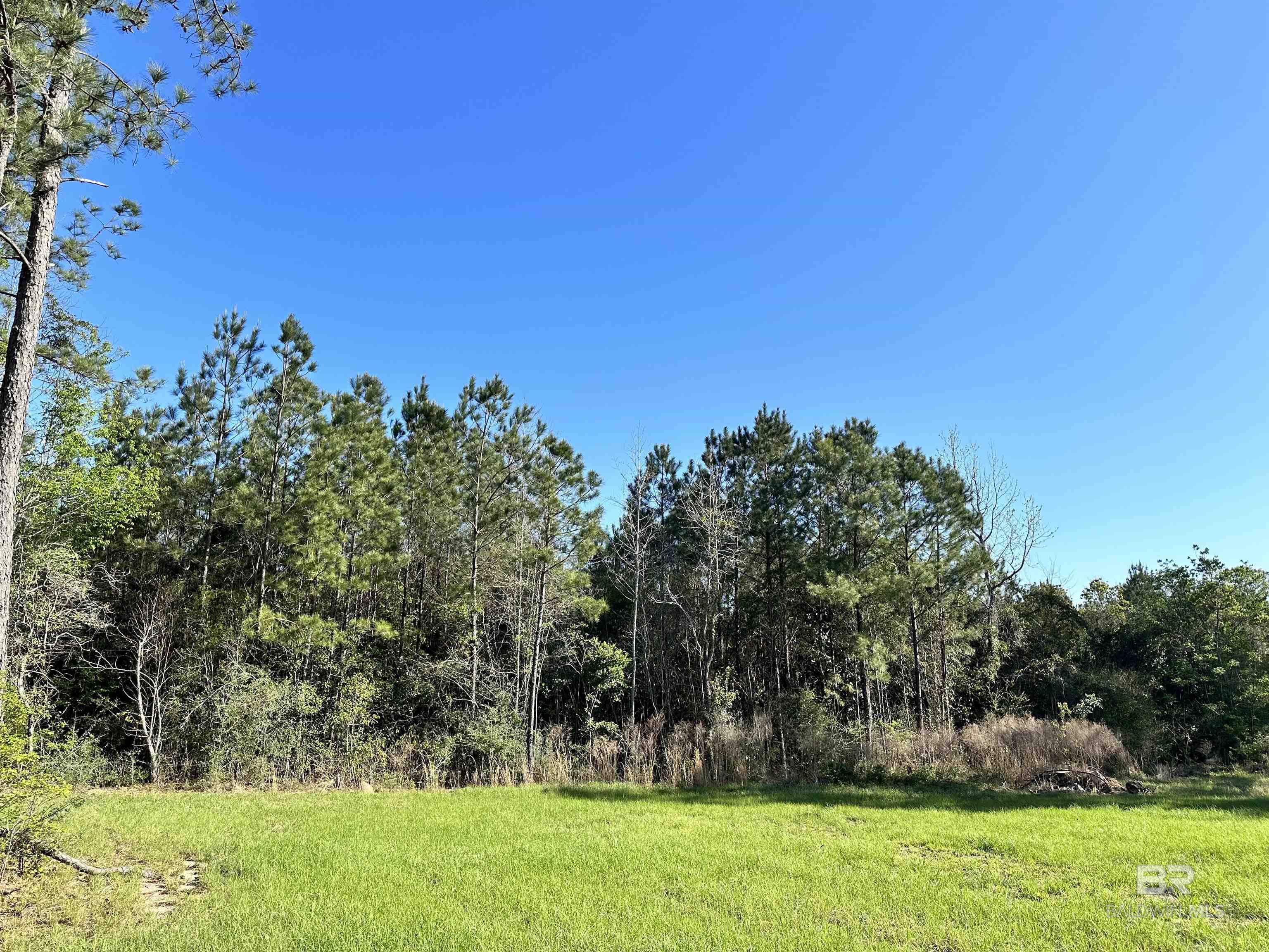 0Woodmont Dr Brewton, AL Photo