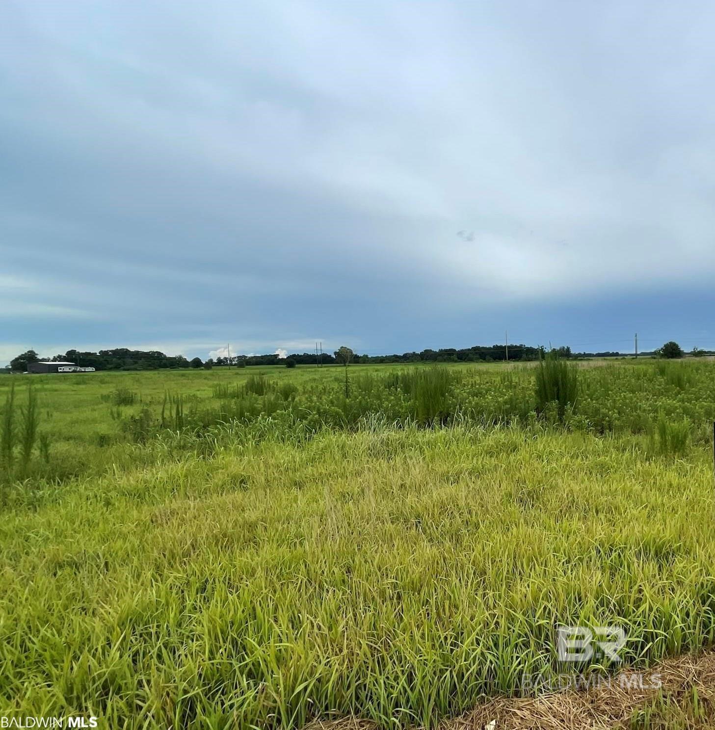 9765Kaiser Dr Foley, AL Photo