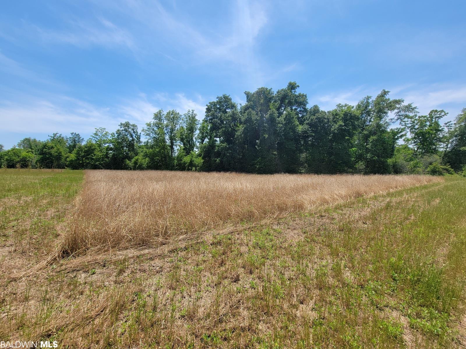 Land For Sale in Foley AL