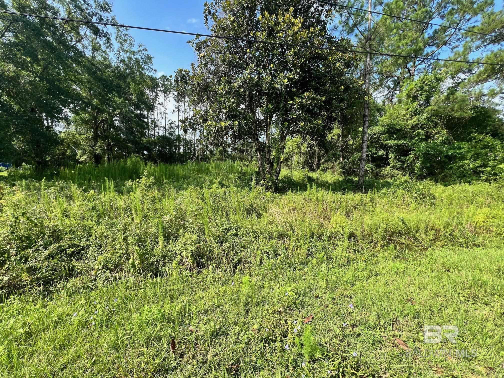 0S Baptiste Drive Theodore, AL Photo