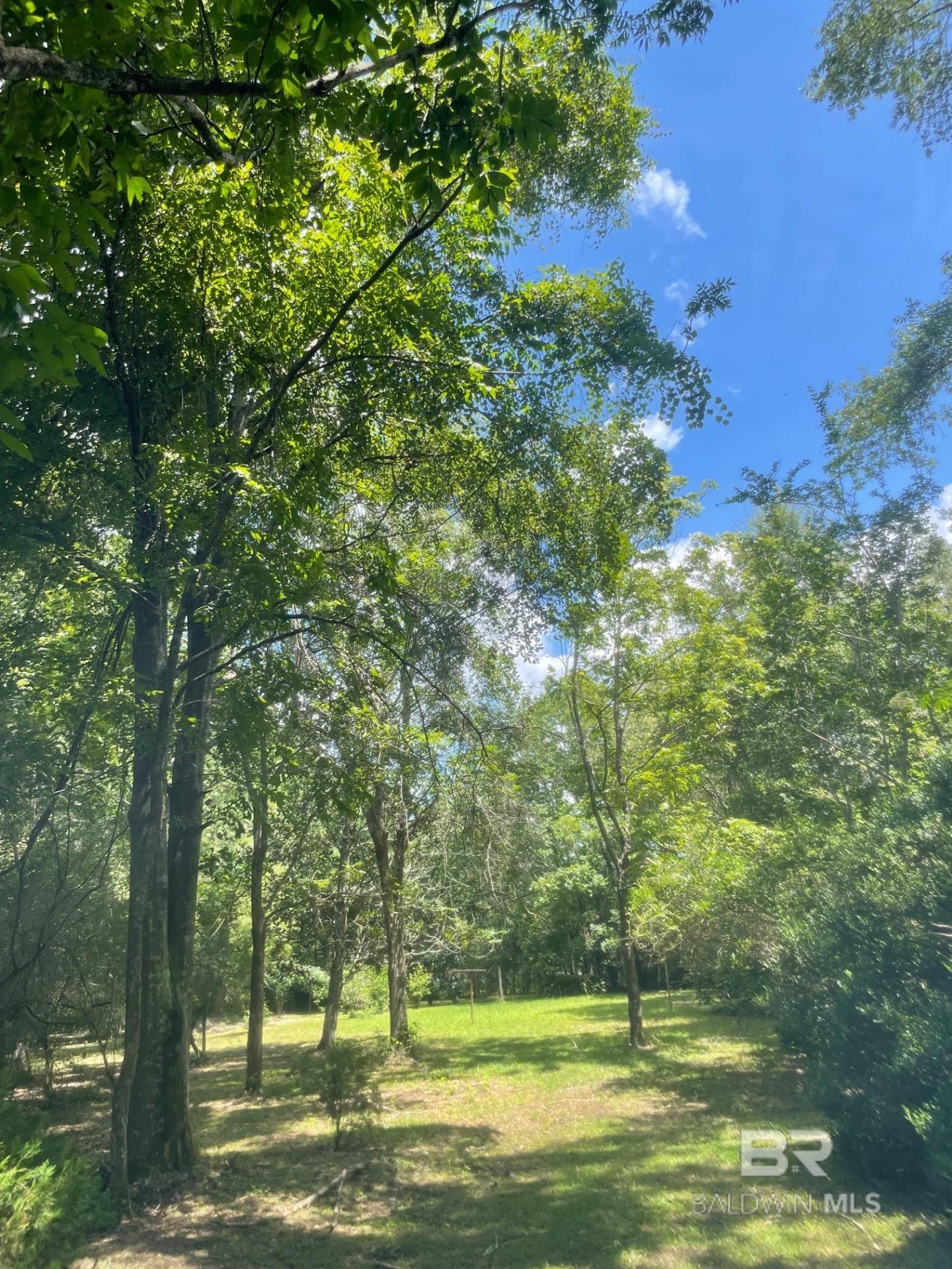 4318Mcfarland Road Mobile, AL |  Photo