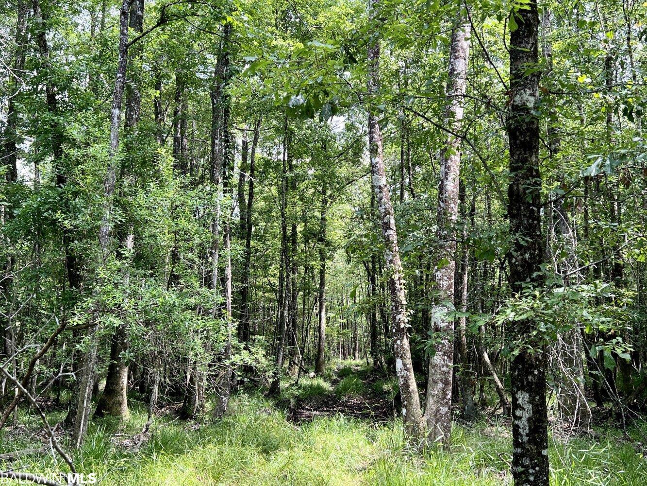 0 St Hwy 59, Stockton, AL, 36507