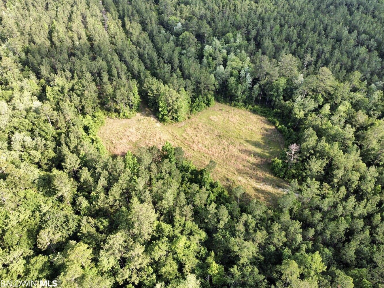 0 St Hwy 59, Stockton, AL, 36507