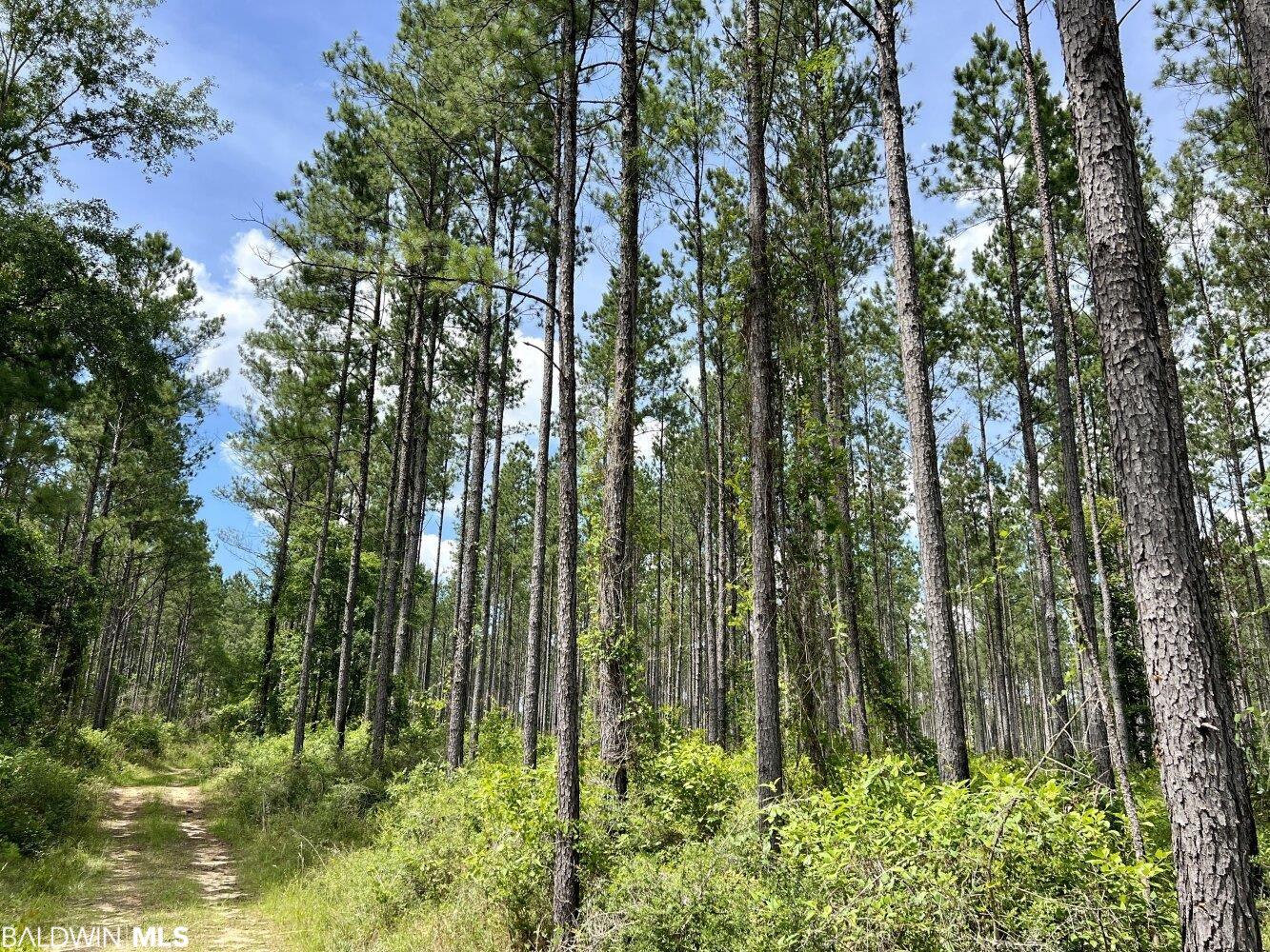 0 St Hwy 59, Stockton, AL, 36507