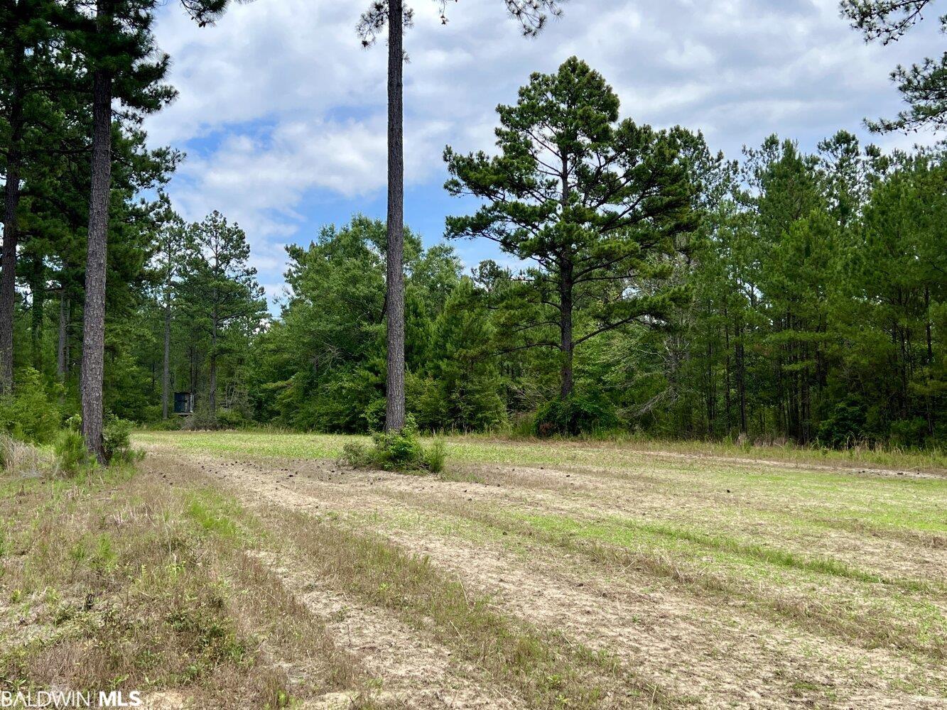 0 St Hwy 59, Stockton, AL, 36507