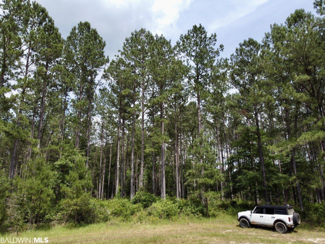 0 St Hwy 59, Stockton, AL, 36507