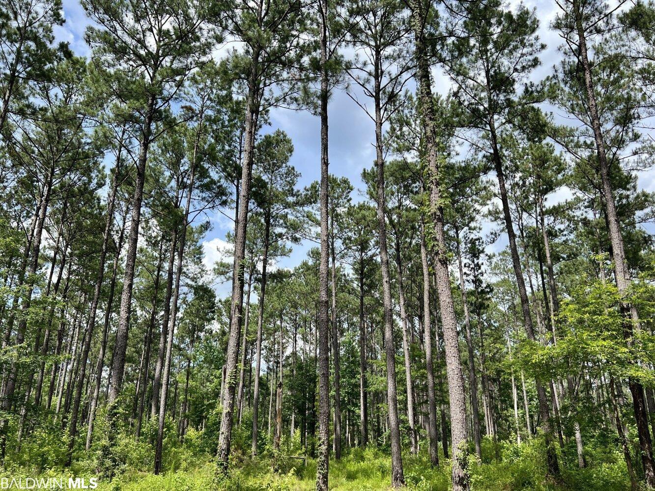 0 St Hwy 59, Stockton, AL, 36507