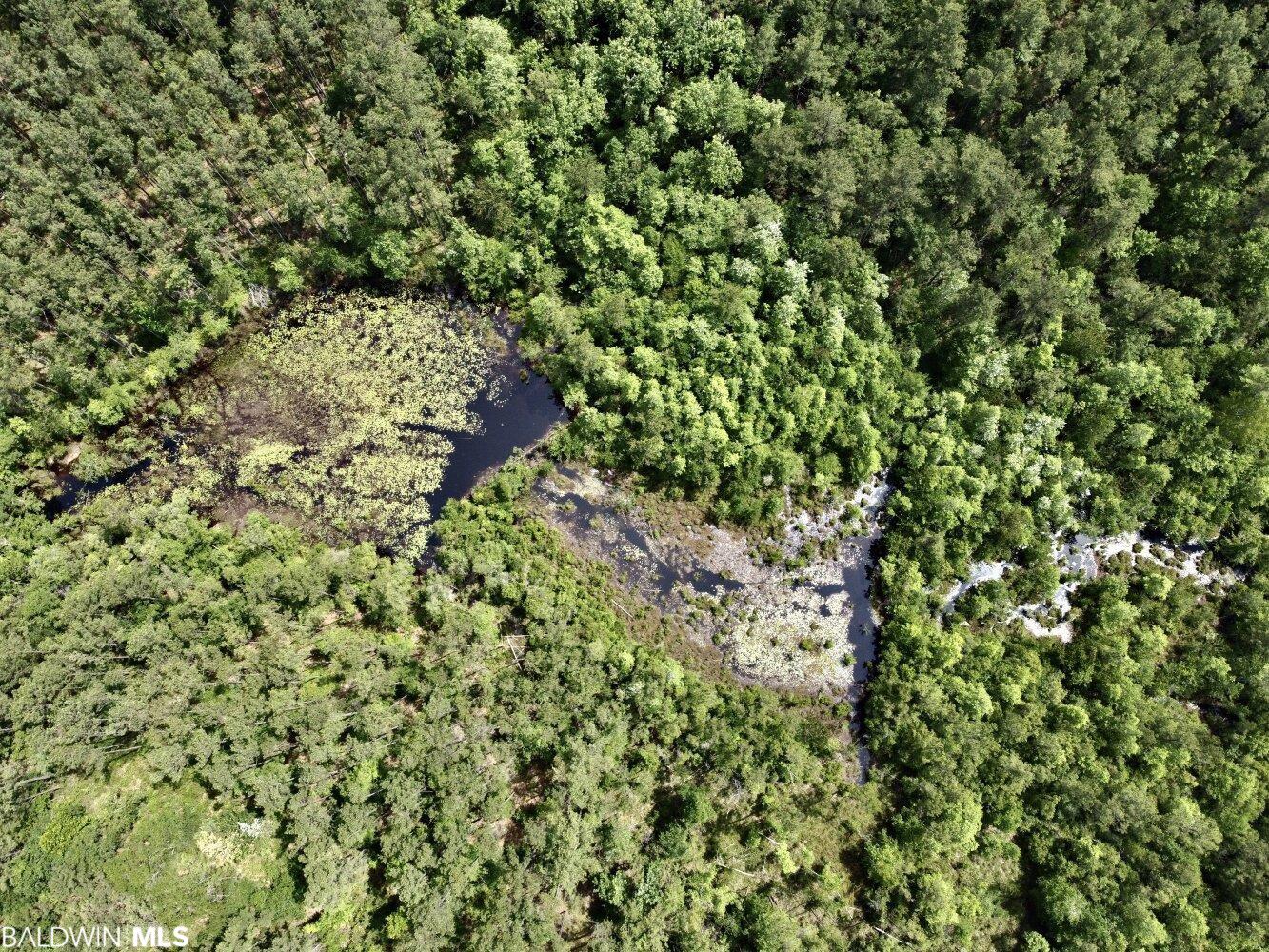 0 St Hwy 59, Stockton, AL, 36507