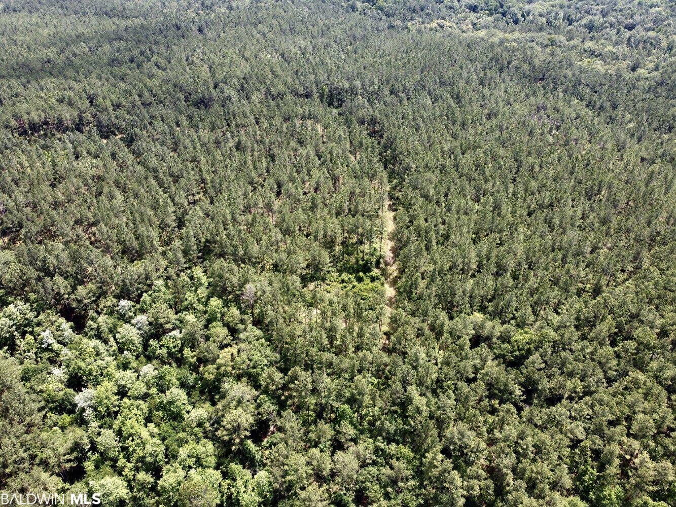 0 St Hwy 59, Stockton, AL, 36507