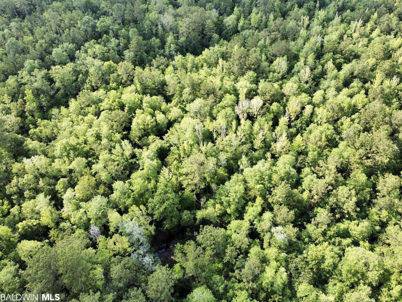 0 St Hwy 59, Stockton, AL, 36507