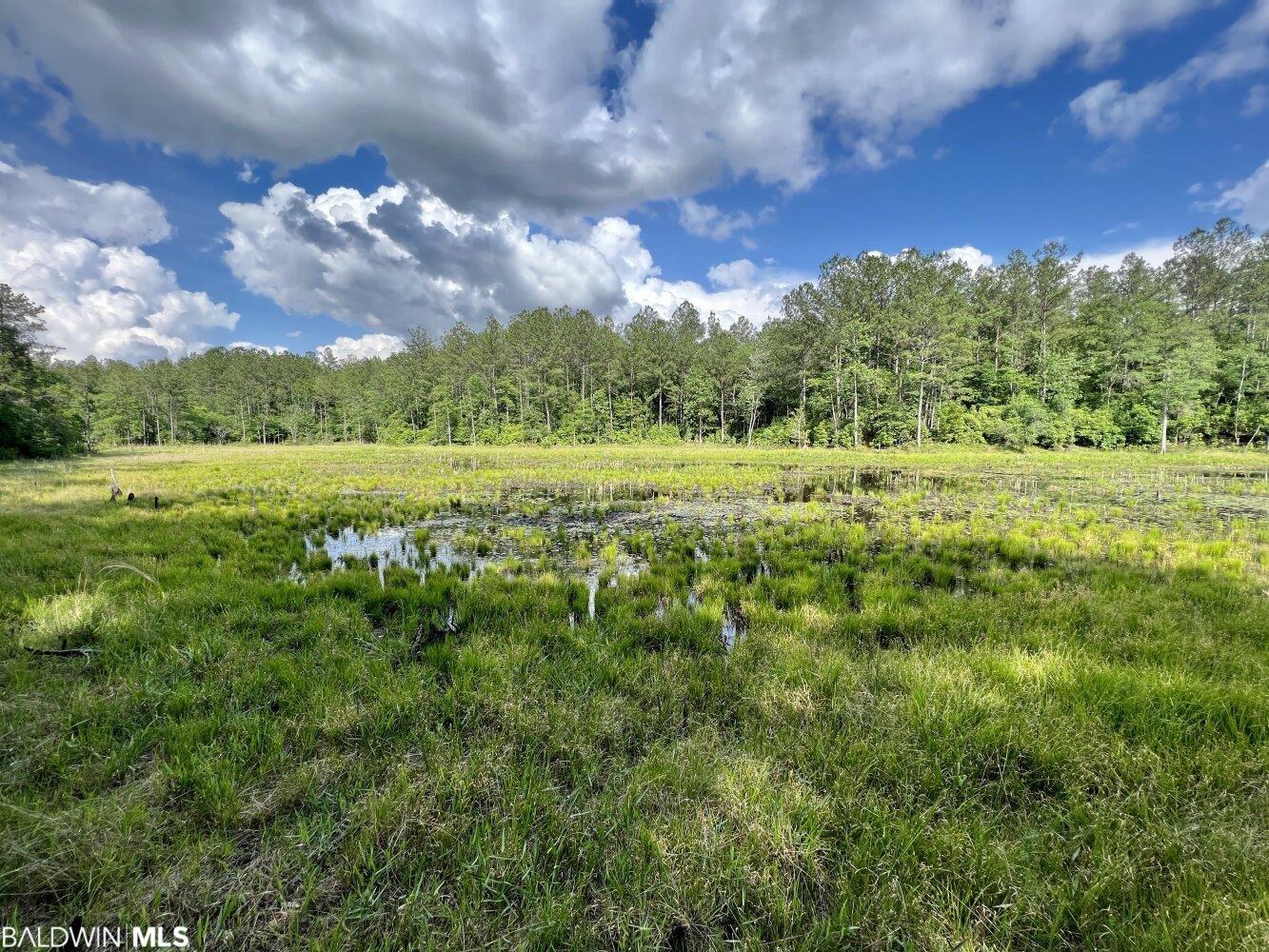 0 St Hwy 59, Stockton, AL, 36507