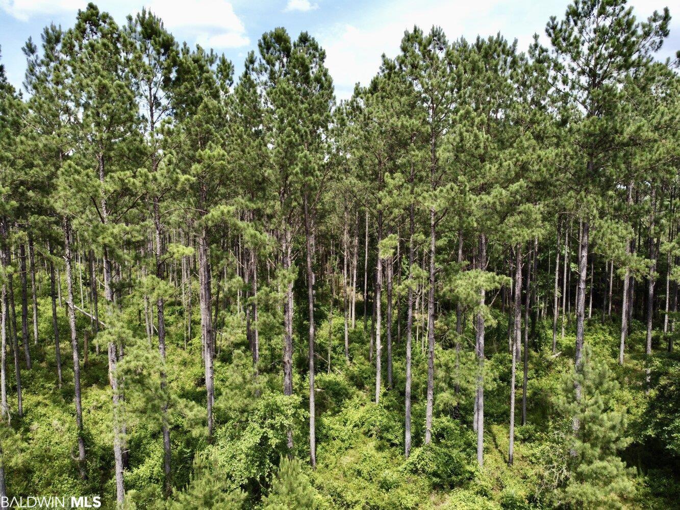 0 St Hwy 59, Stockton, AL, 36507