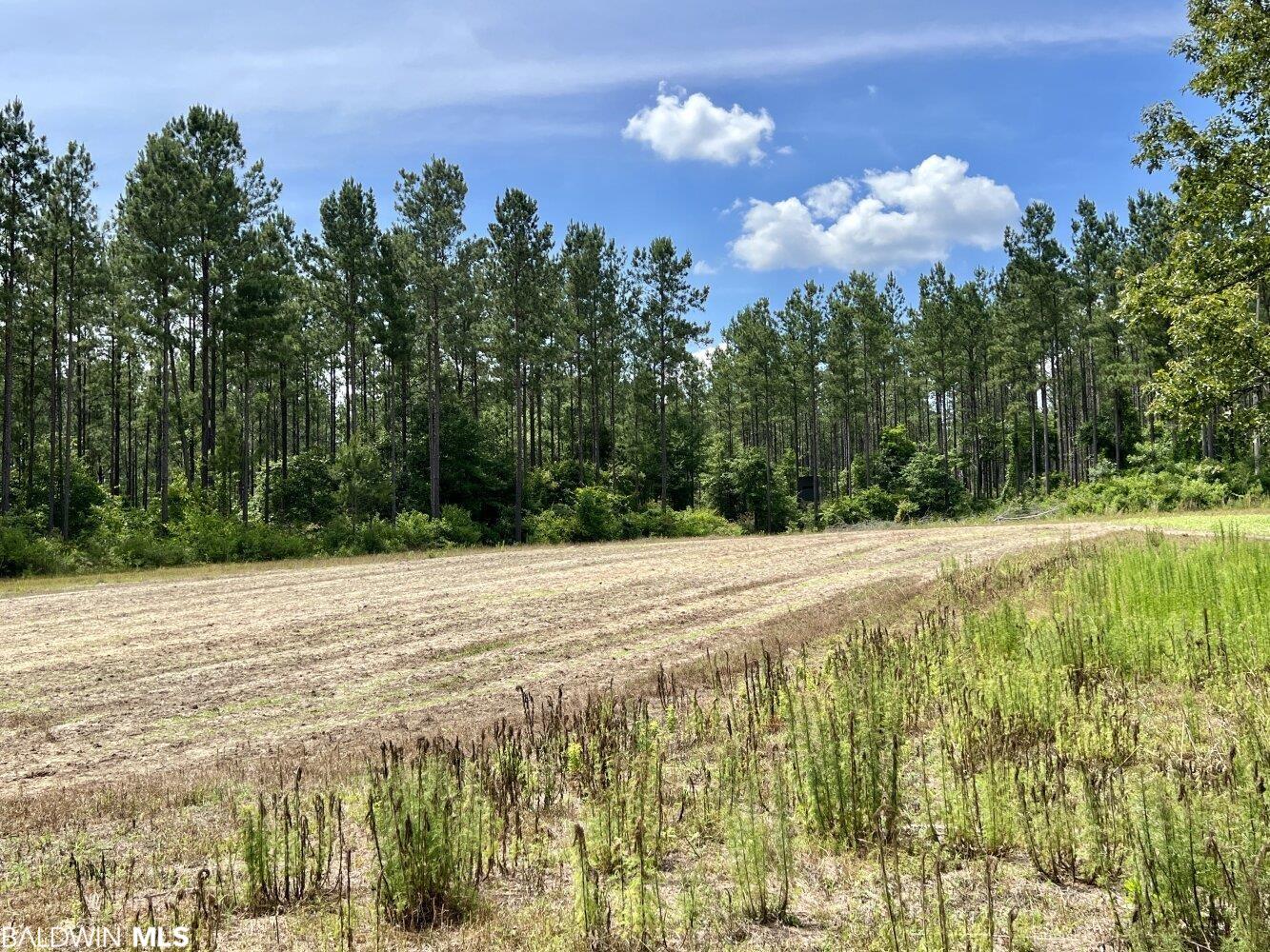 0 St Hwy 59, Stockton, AL, 36507