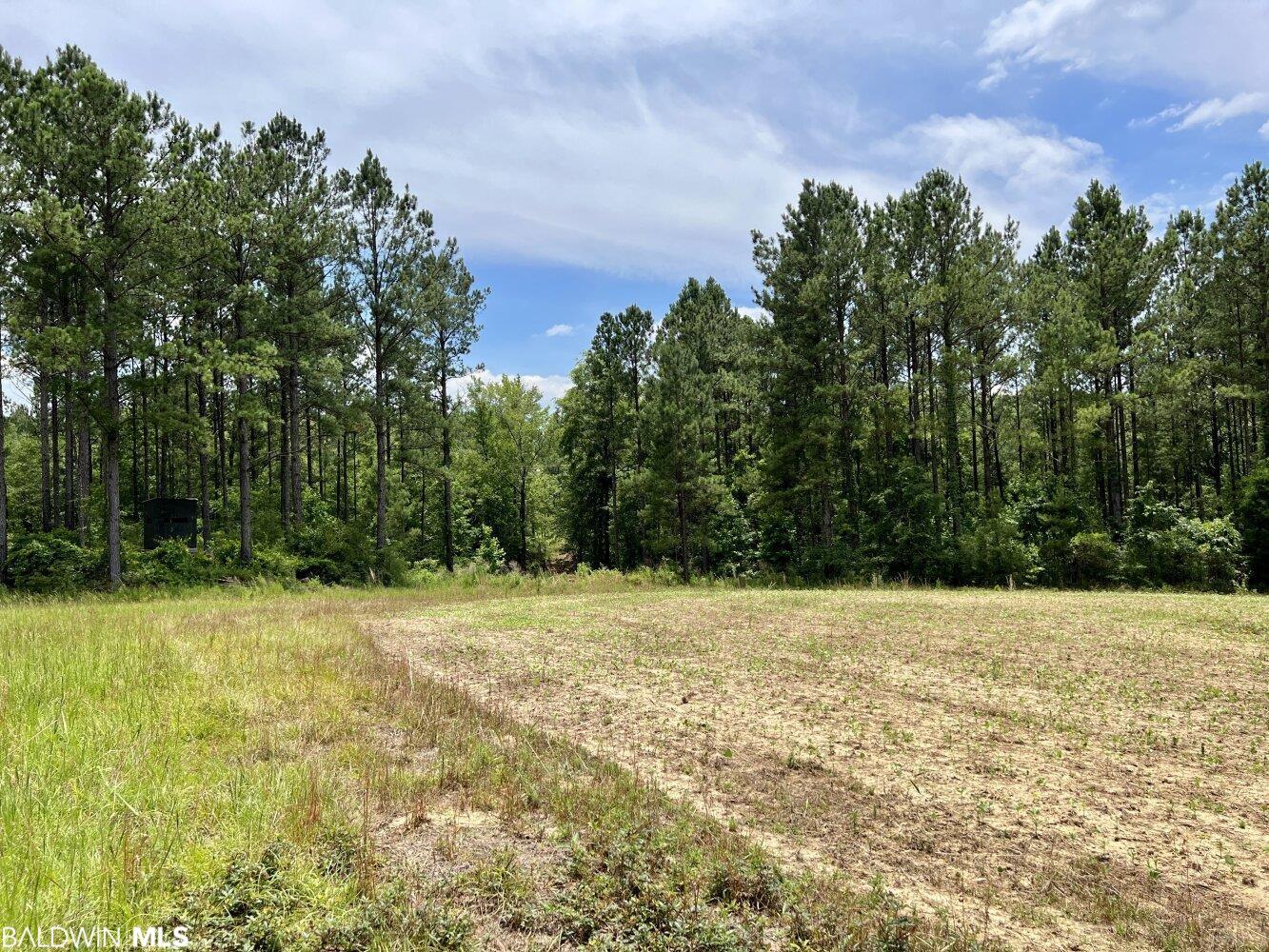 0 St Hwy 59, Stockton, AL, 36507