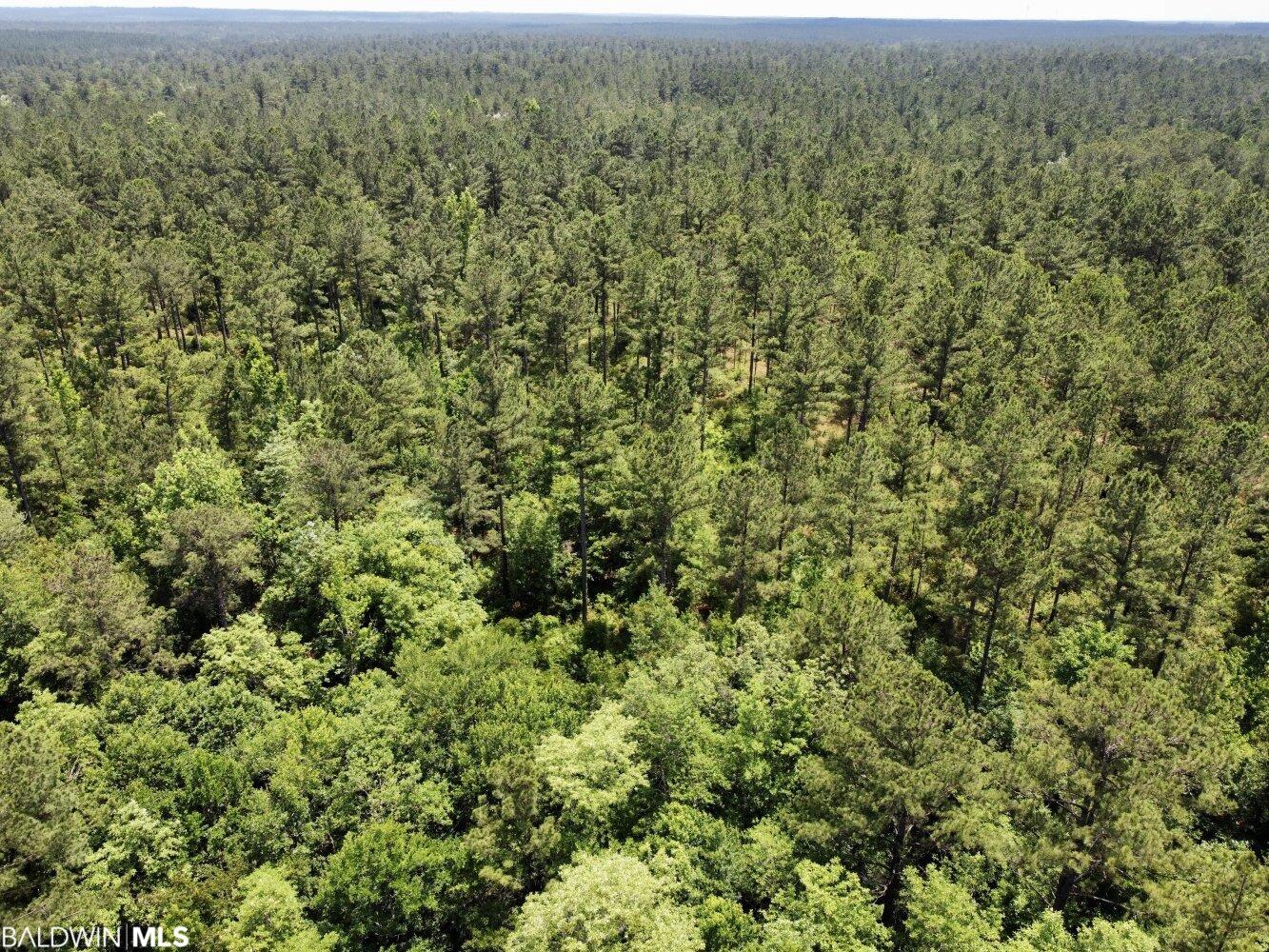 0 St Hwy 59, Stockton, AL, 36507